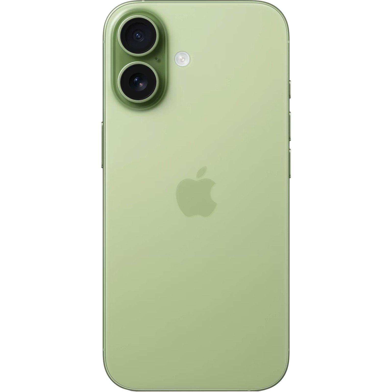 Смартфон APPLE iPhone 17 256GB Sage (MG6N4AF/A)