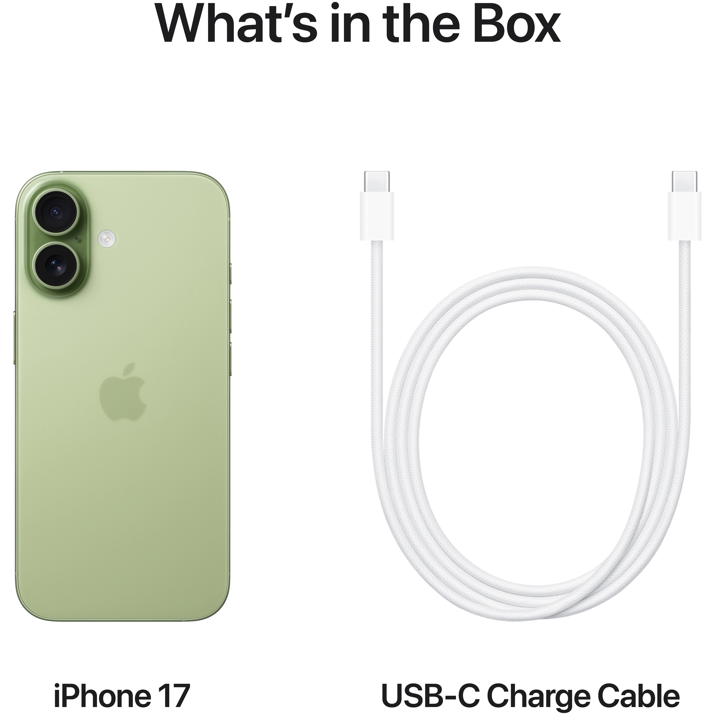 Смартфон APPLE iPhone 17 256GB Sage (MG6N4AF/A)