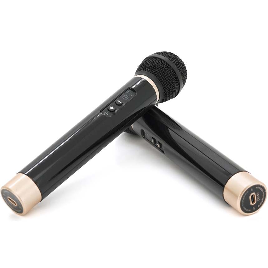 Караоке-колонка KISONLI G102 Brown