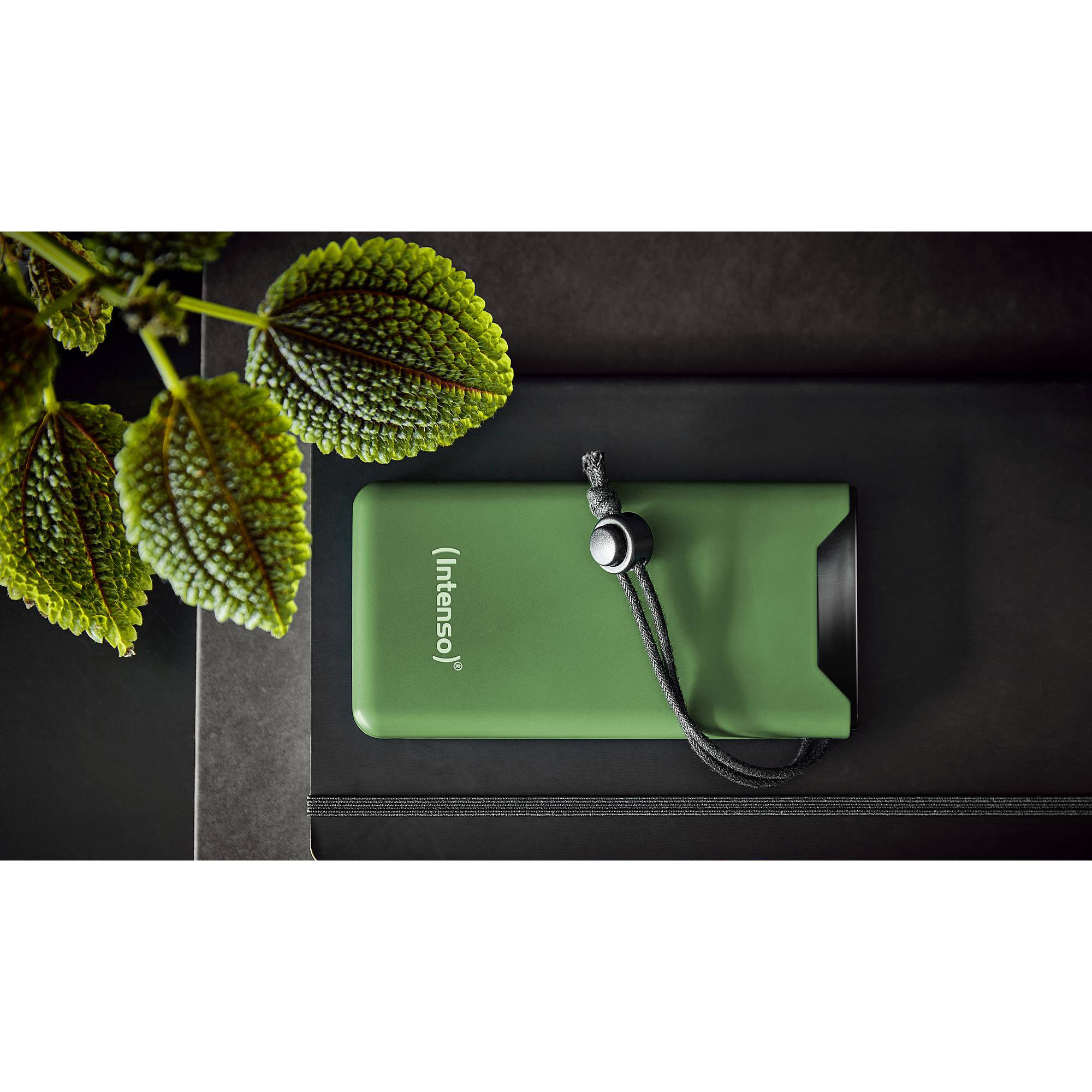 Повербанк INTENSO F10000 1xUSB-C PD20W, 1xUSB-A QC18W 10000mAh Green (7332037)
