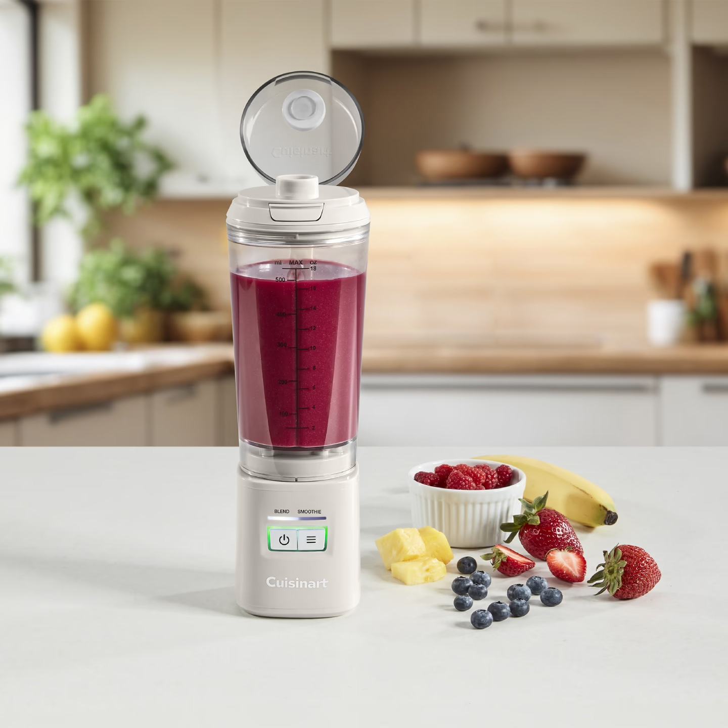 Фитнес-блендер CUISINART PBL100E