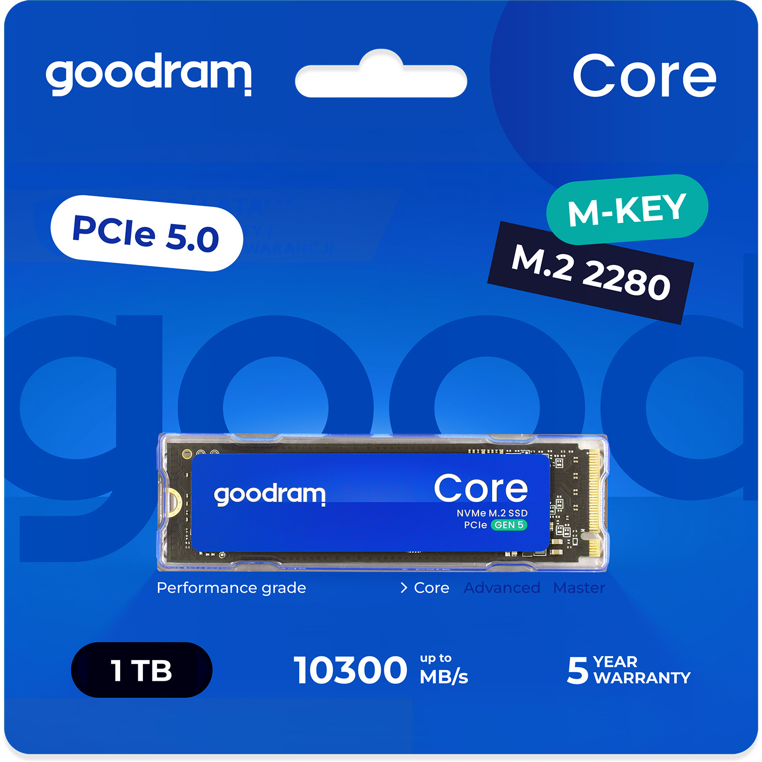 SSD диск GOODRAM Core 500GB M.2 NVMe (SSDR-GRC01-500-80)