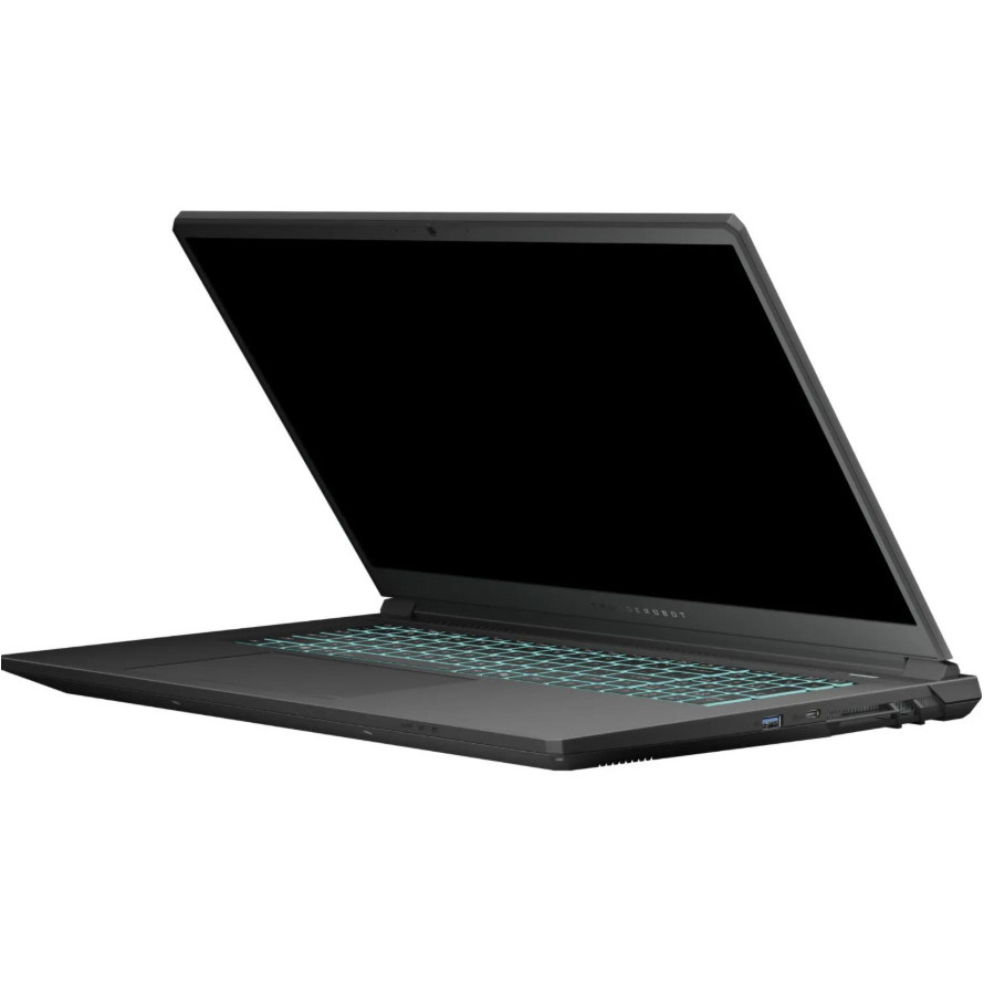 Ноутбук THUNDEROBOT 911 X17 Black (911X17-I7136H56C1Q165MB)
