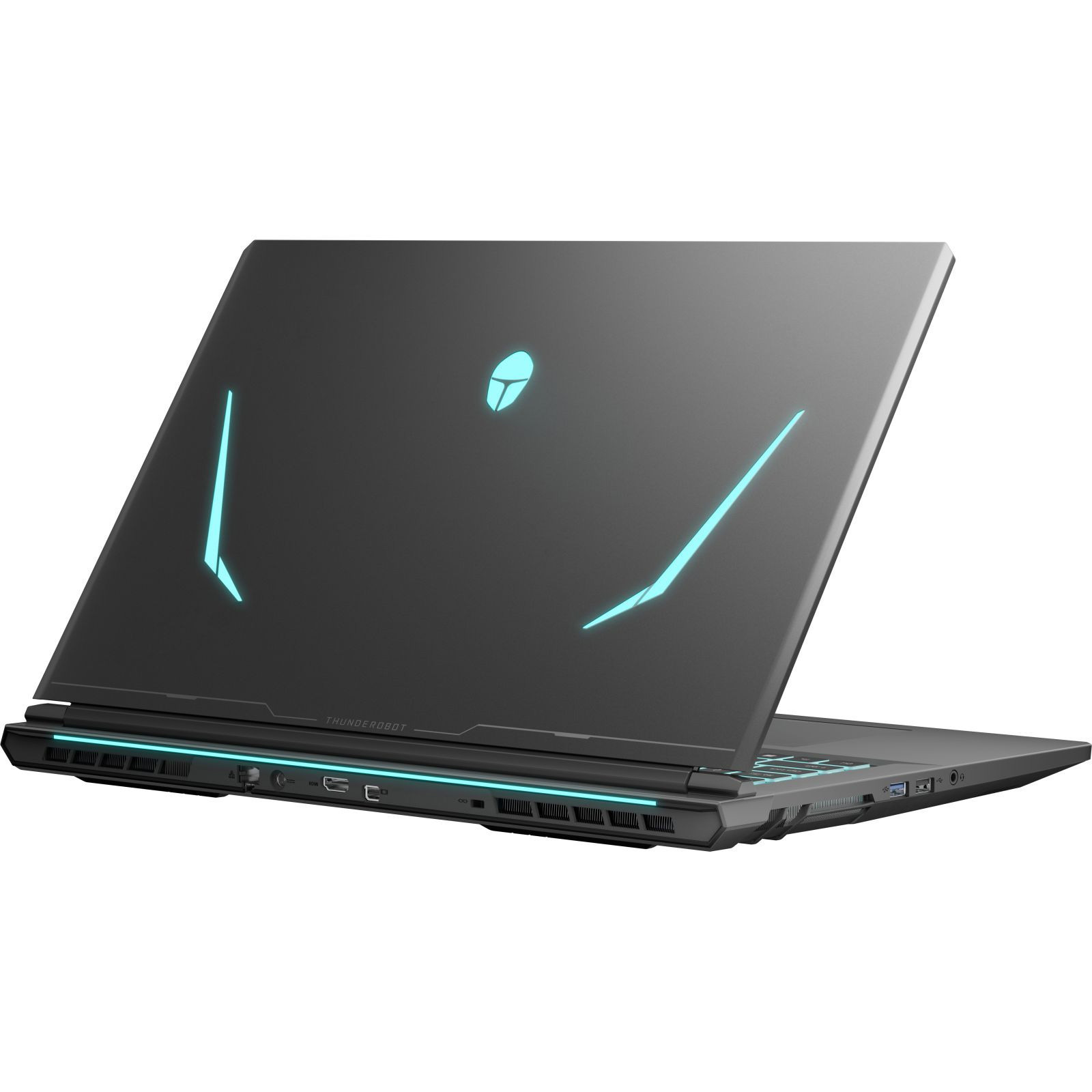 Ноутбук THUNDEROBOT 911 X17 Black (911X17-I7136H56C1Q165MB)