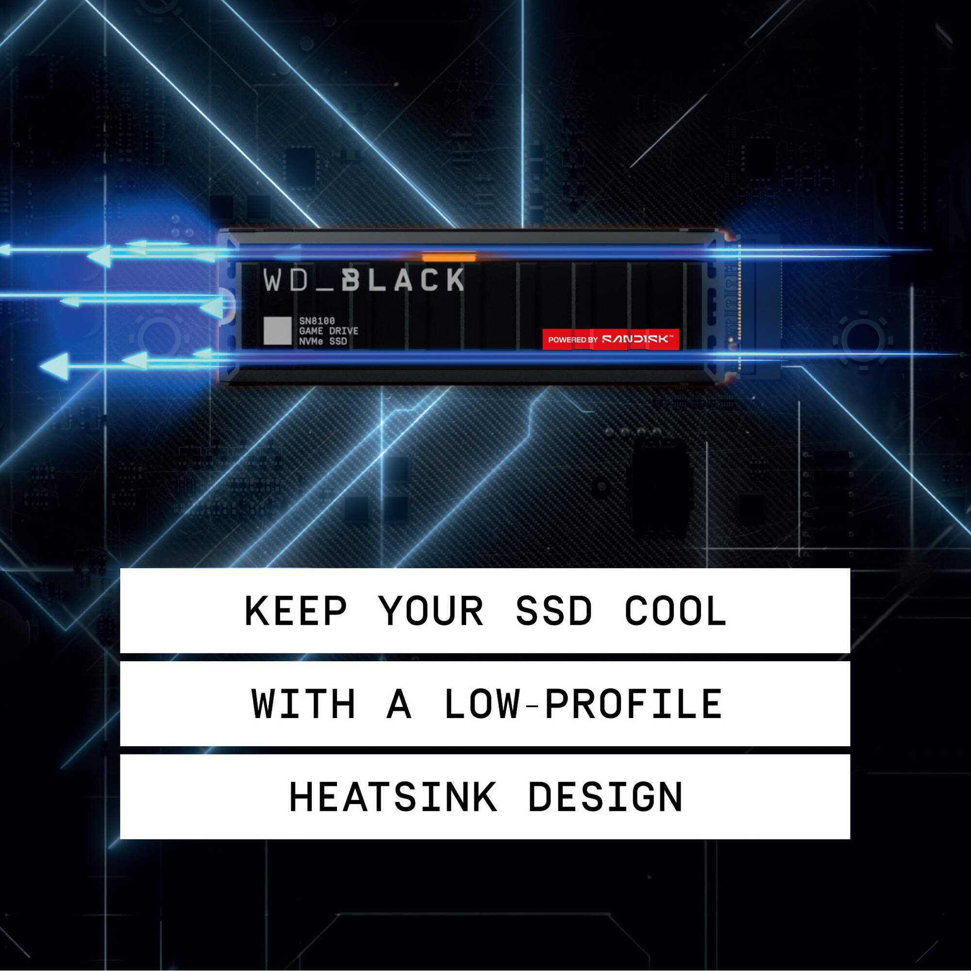 SSD диск WD Black SN8100 w/heatsink 1TB M.2 NVMe (WDS100T1XHM-00CMT0)