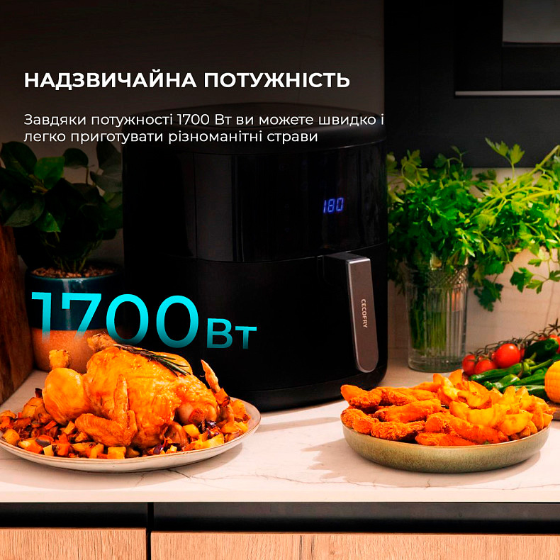 Мультипечь CECOTEC Cecofry Bombastik 6000 Full (CCTC-04993)