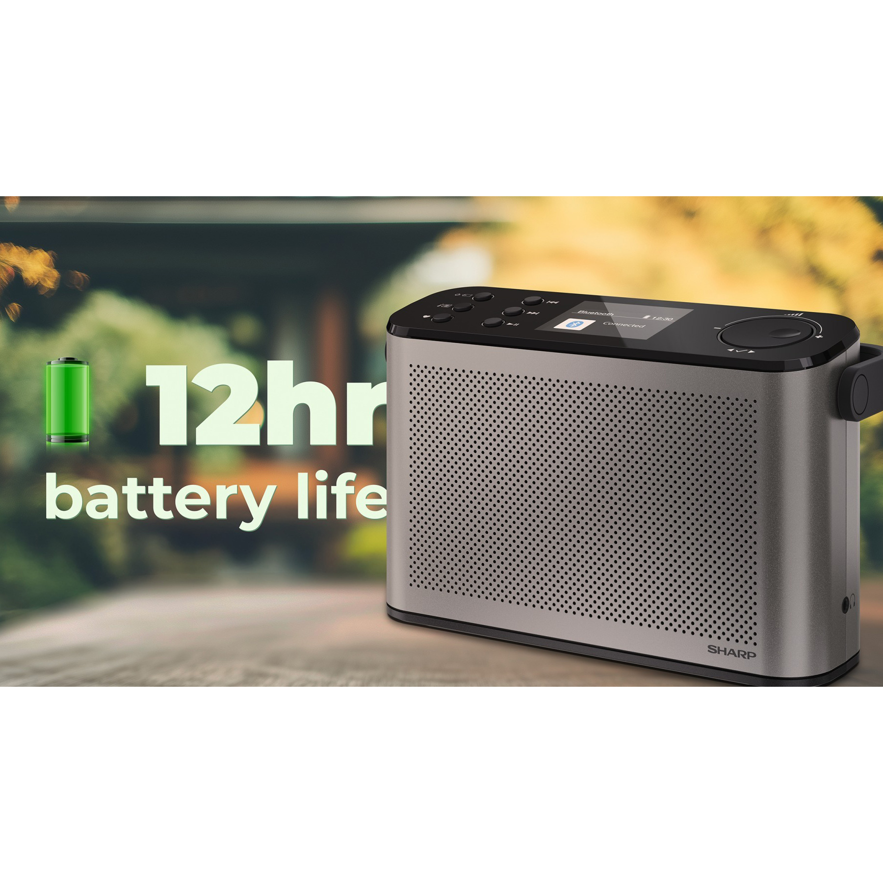 Портативный радиоприёмник SHARP DR-P540 Storm Gray