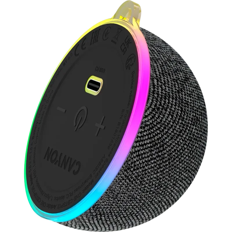 Портативна колонка CANYON OnMove 13 Black (CNE-CBTSP13B)
