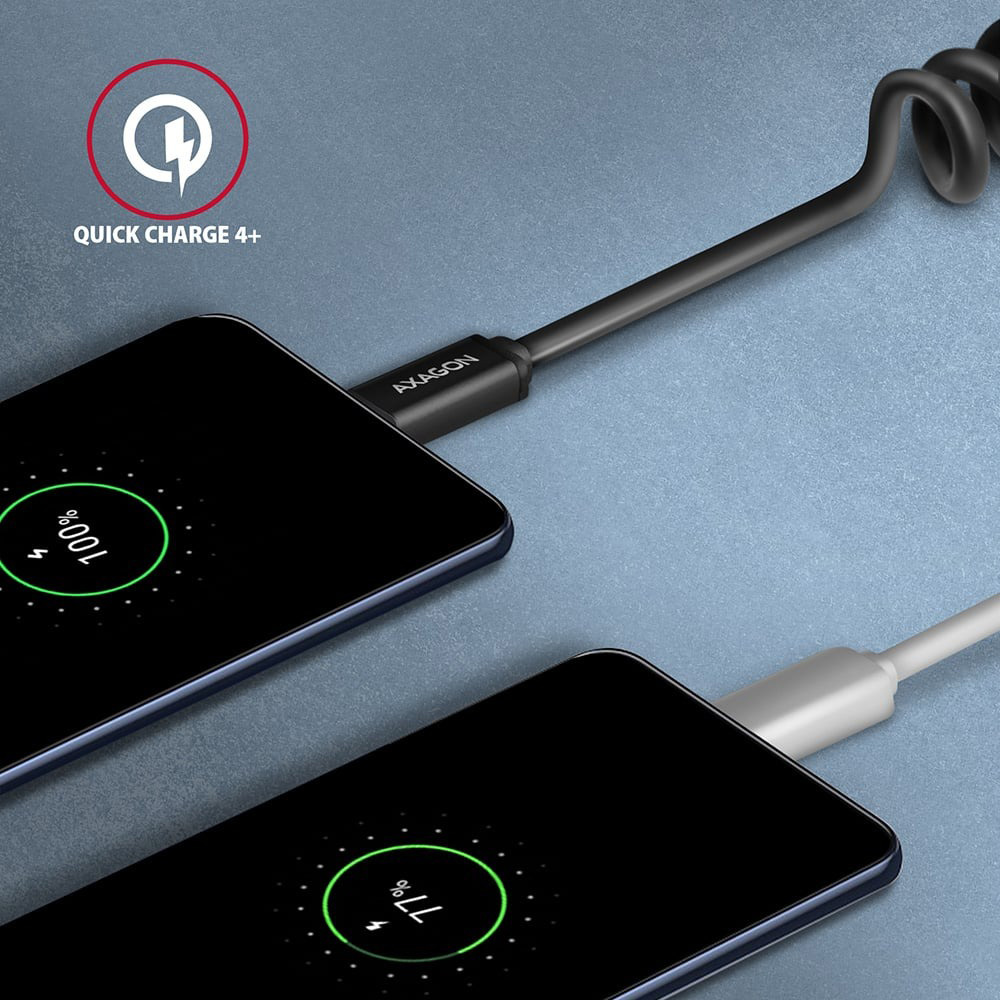Кабель AXAGON USB-C to USB-C 2.0 0.6м Black