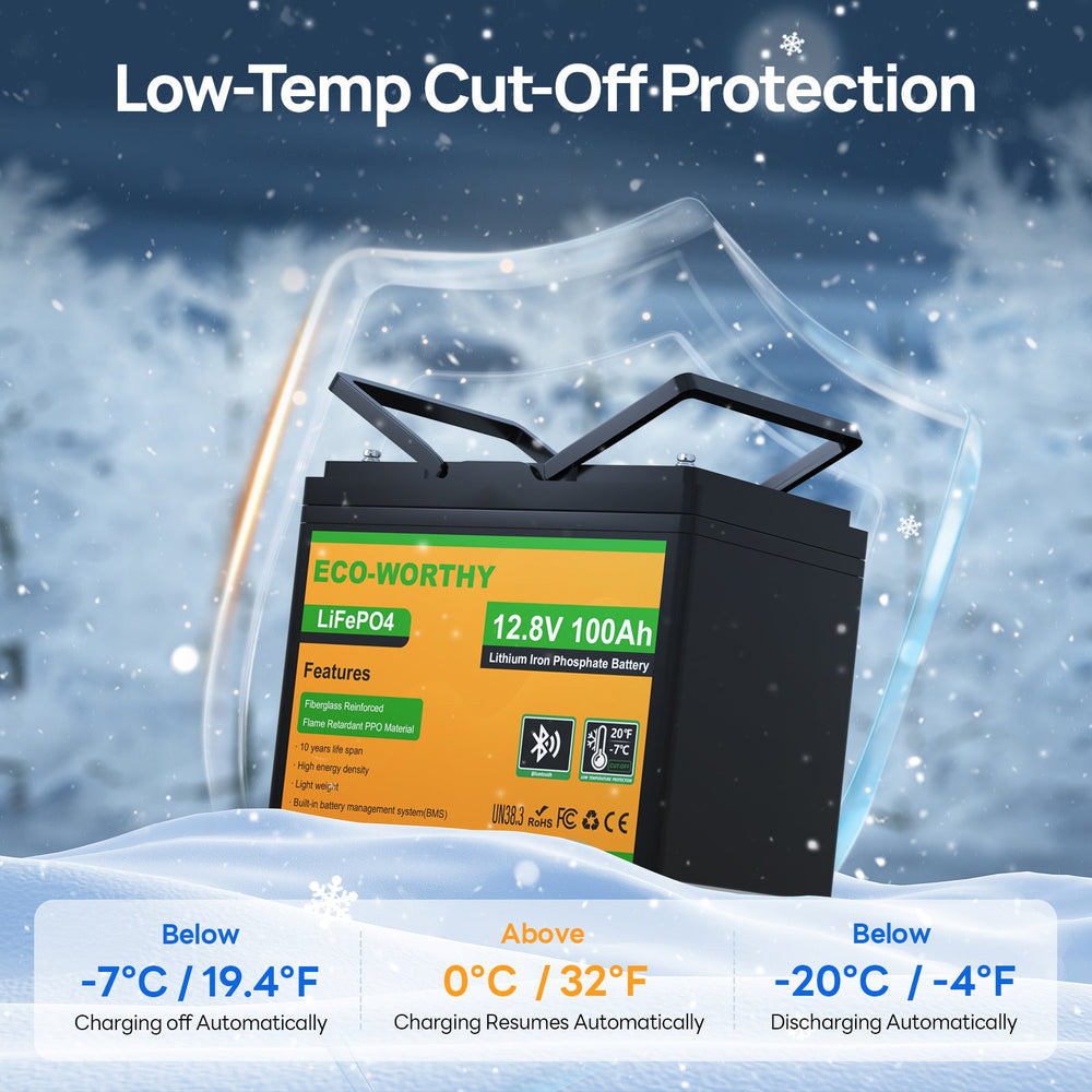 Акумуляторна батарея ECO-WORTHY LiFePO4 12V 100Ah w/Bluetooth (12.8В, 100Агод)