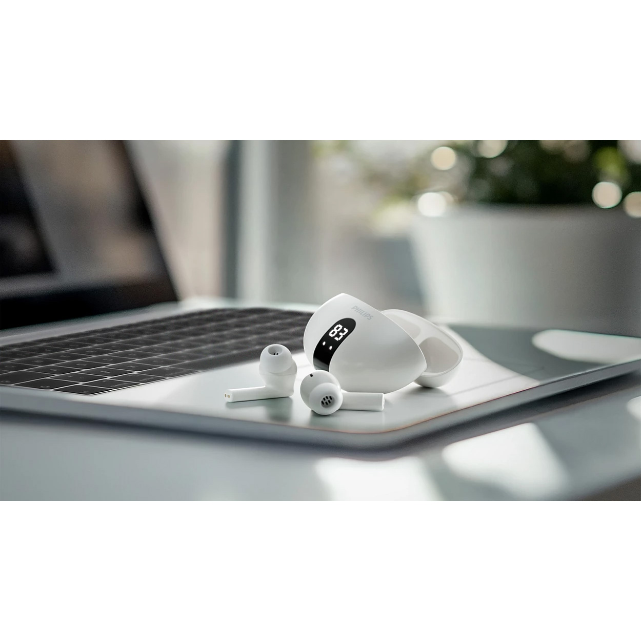 Навушники PHILIPS TAT2520 White (TAT2520WT/00)