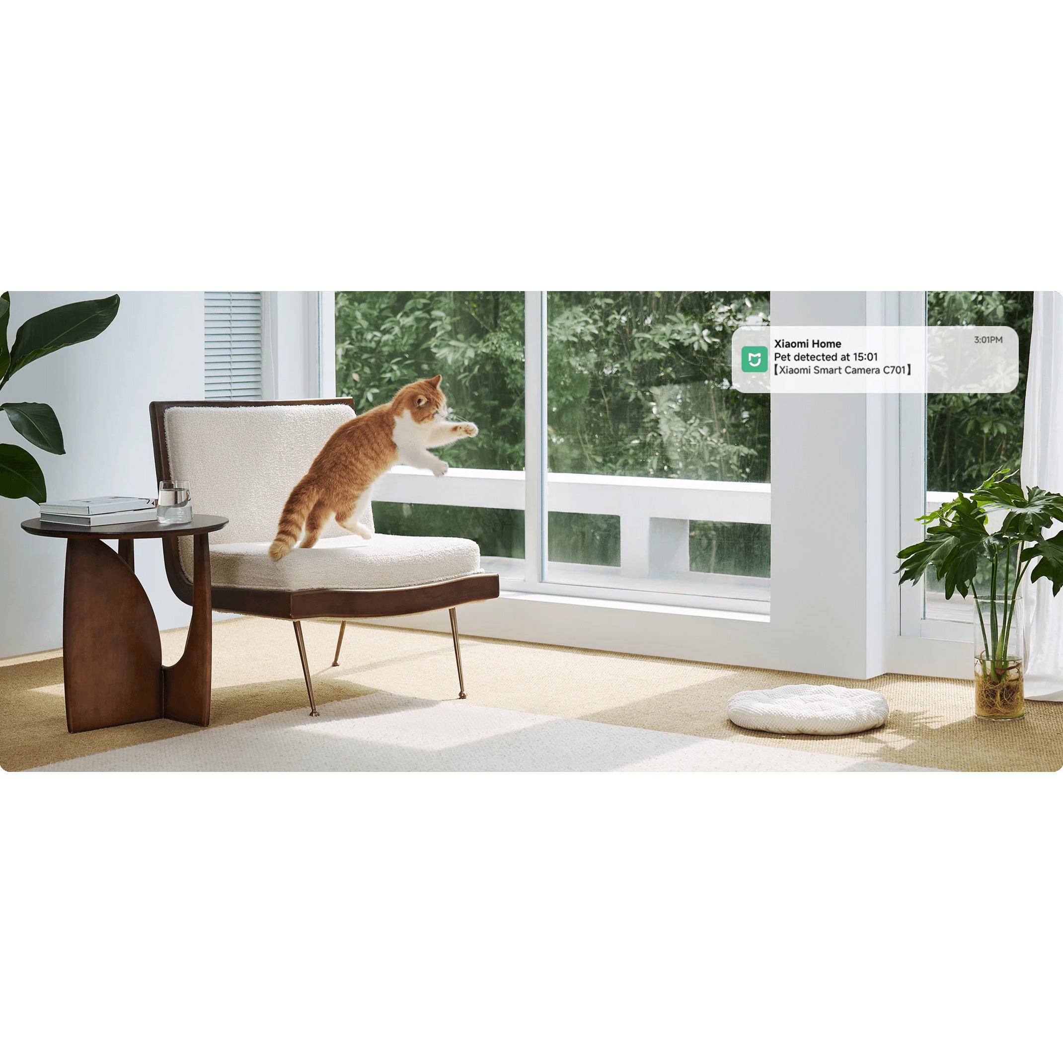IP-камера XIAOMI Smart Camera C701 (BHR07X7EU)
