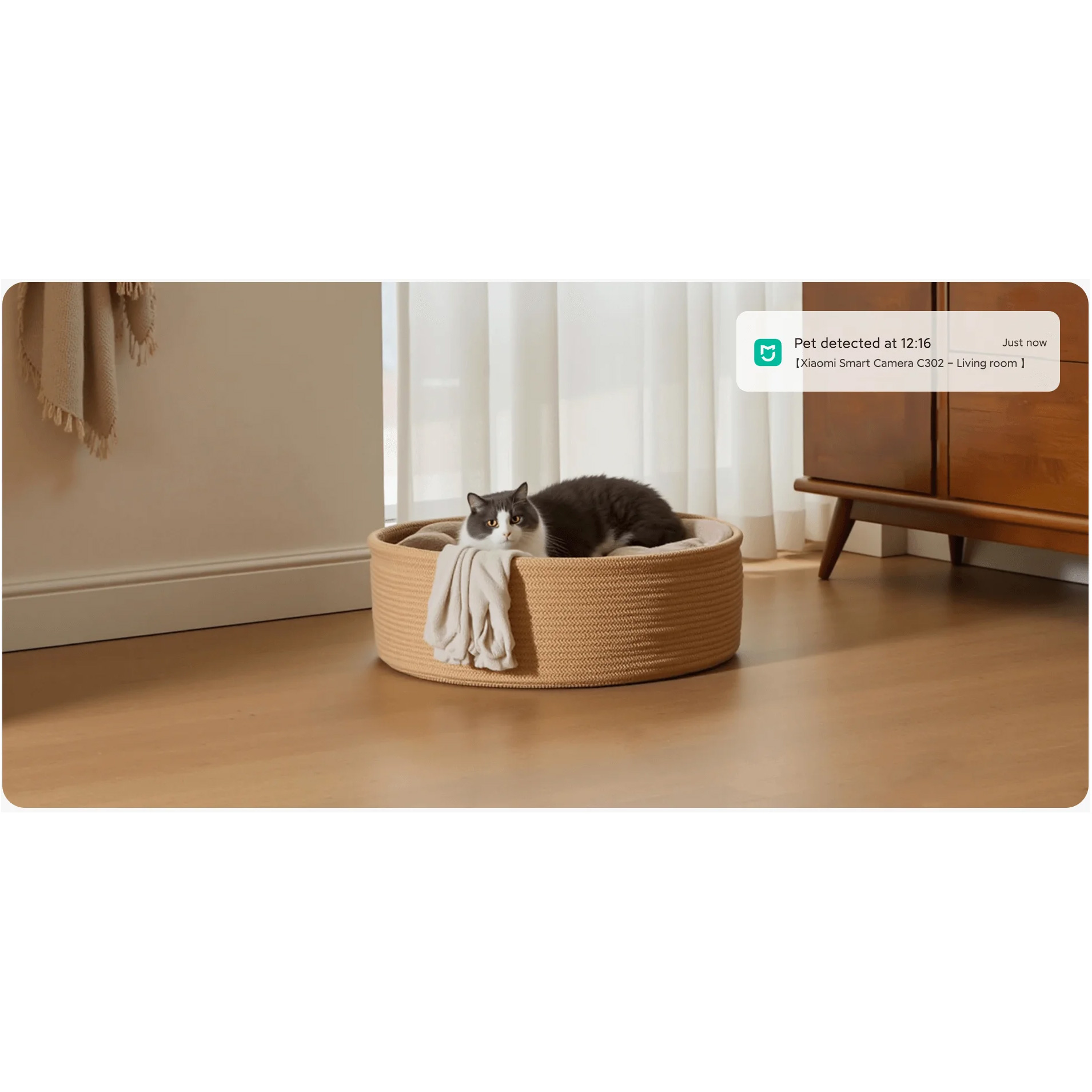 IP-камера XIAOMI Smart Camera C302 (BHR08SVGL)