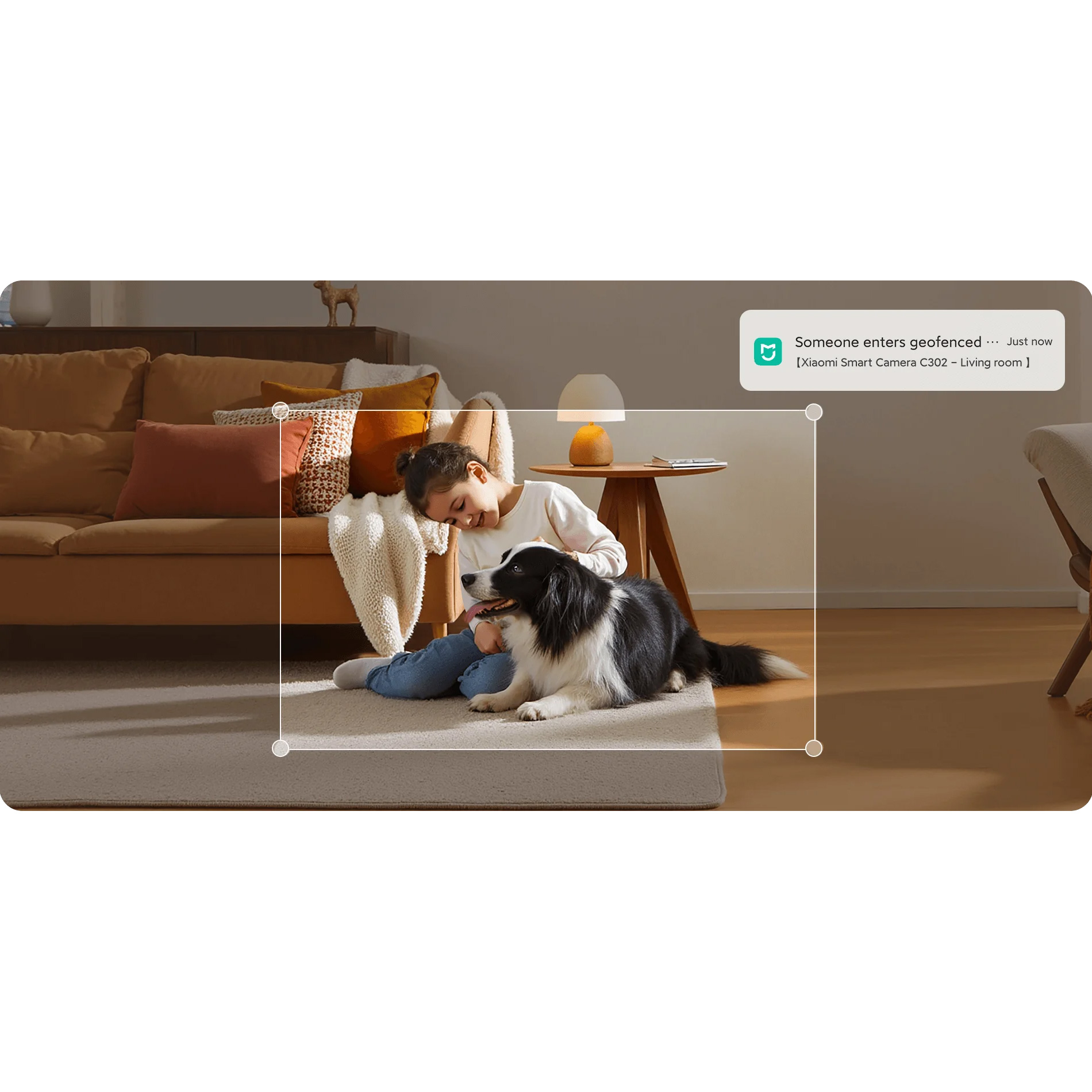 IP-камера XIAOMI Smart Camera C302 (BHR08SVGL)