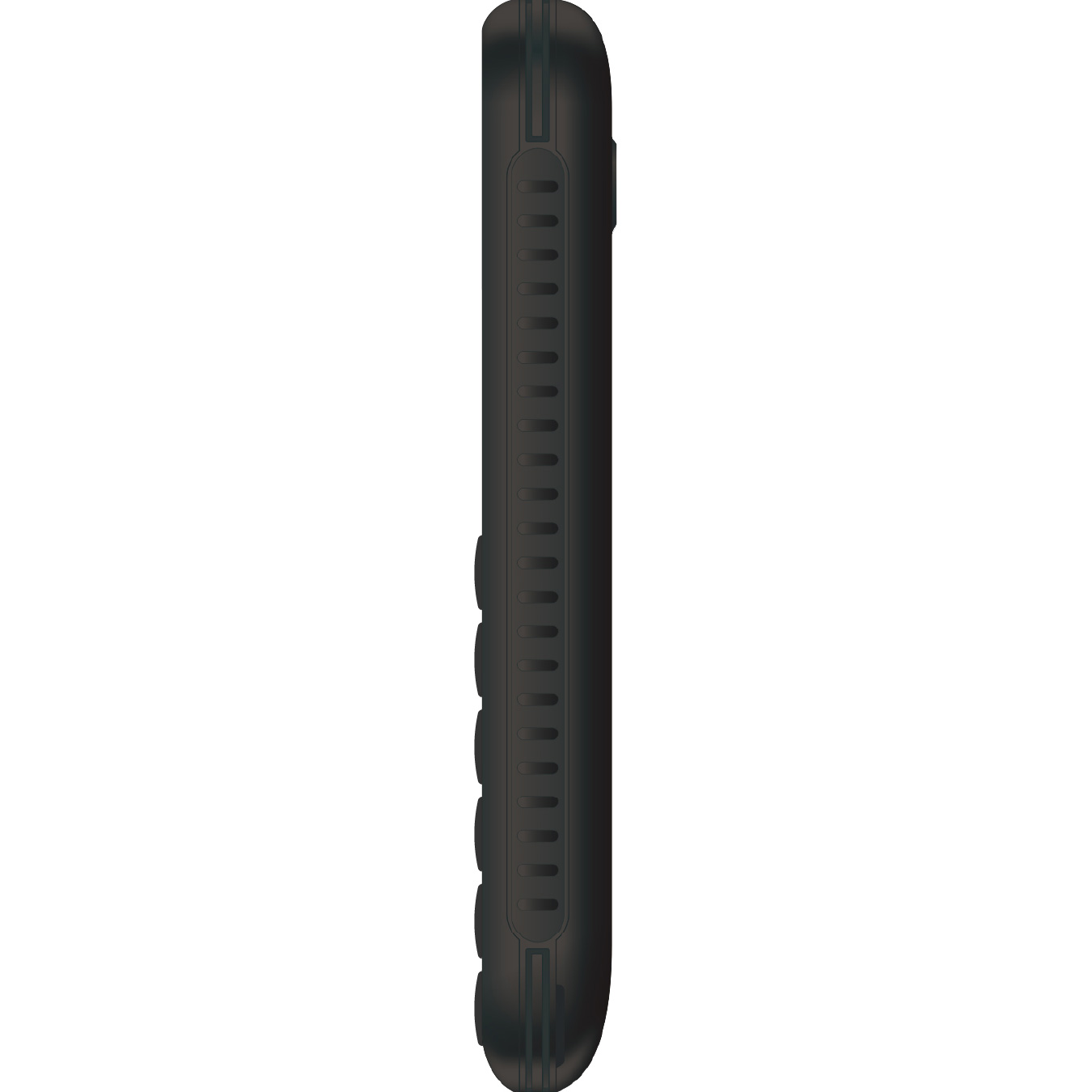 Мобильный телефон ERGO R202 Black