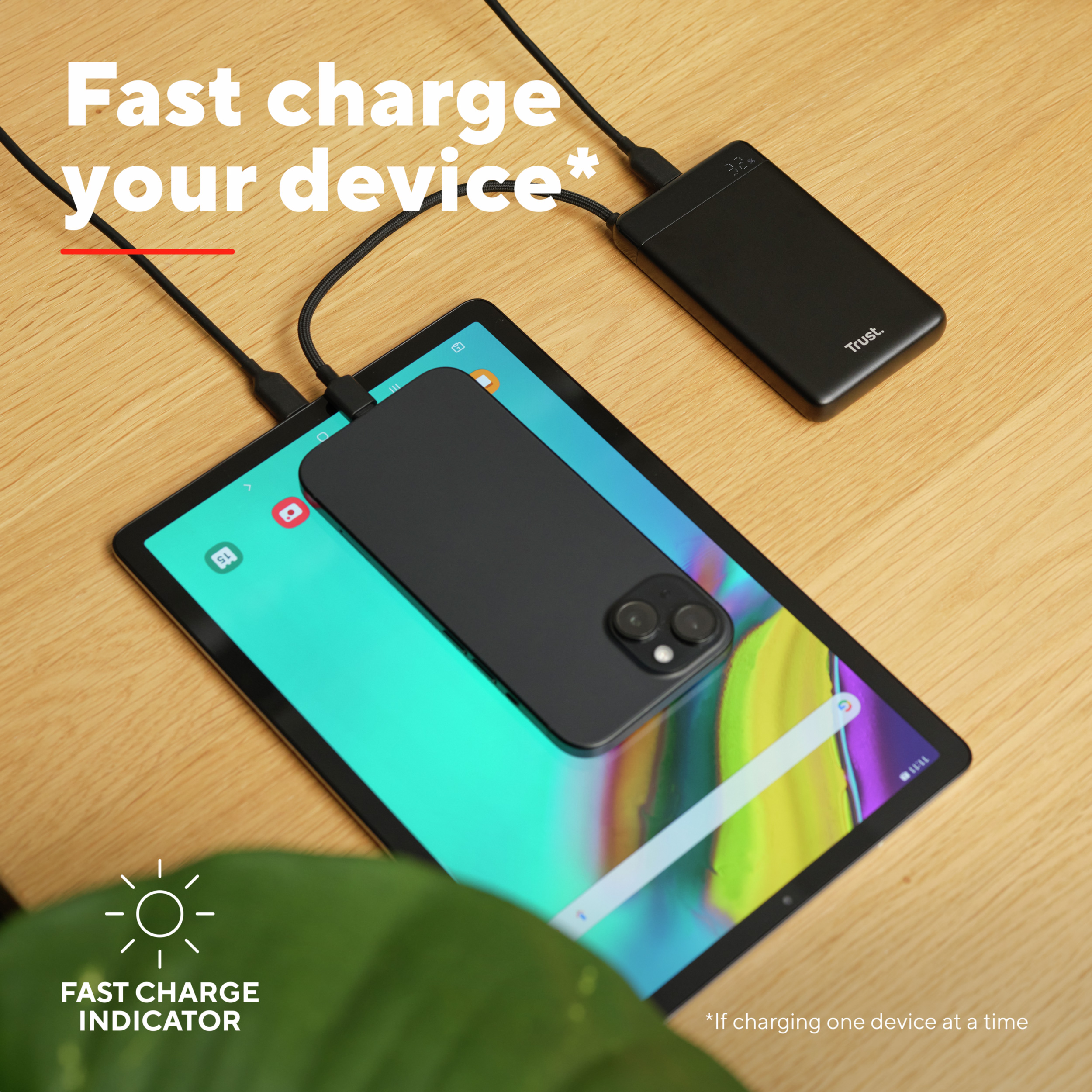 Повербанк TRUST Fiera 20W 10000mAh (25880)