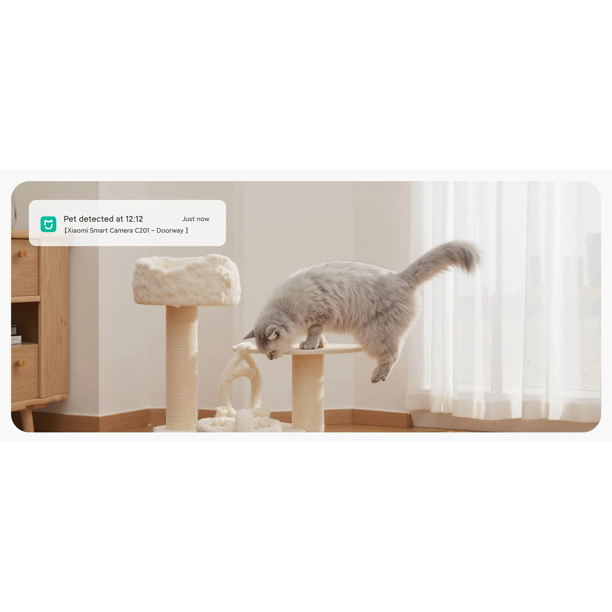 IP-камера XIAOMI Smart Camera C201 (BHR08NBGL)