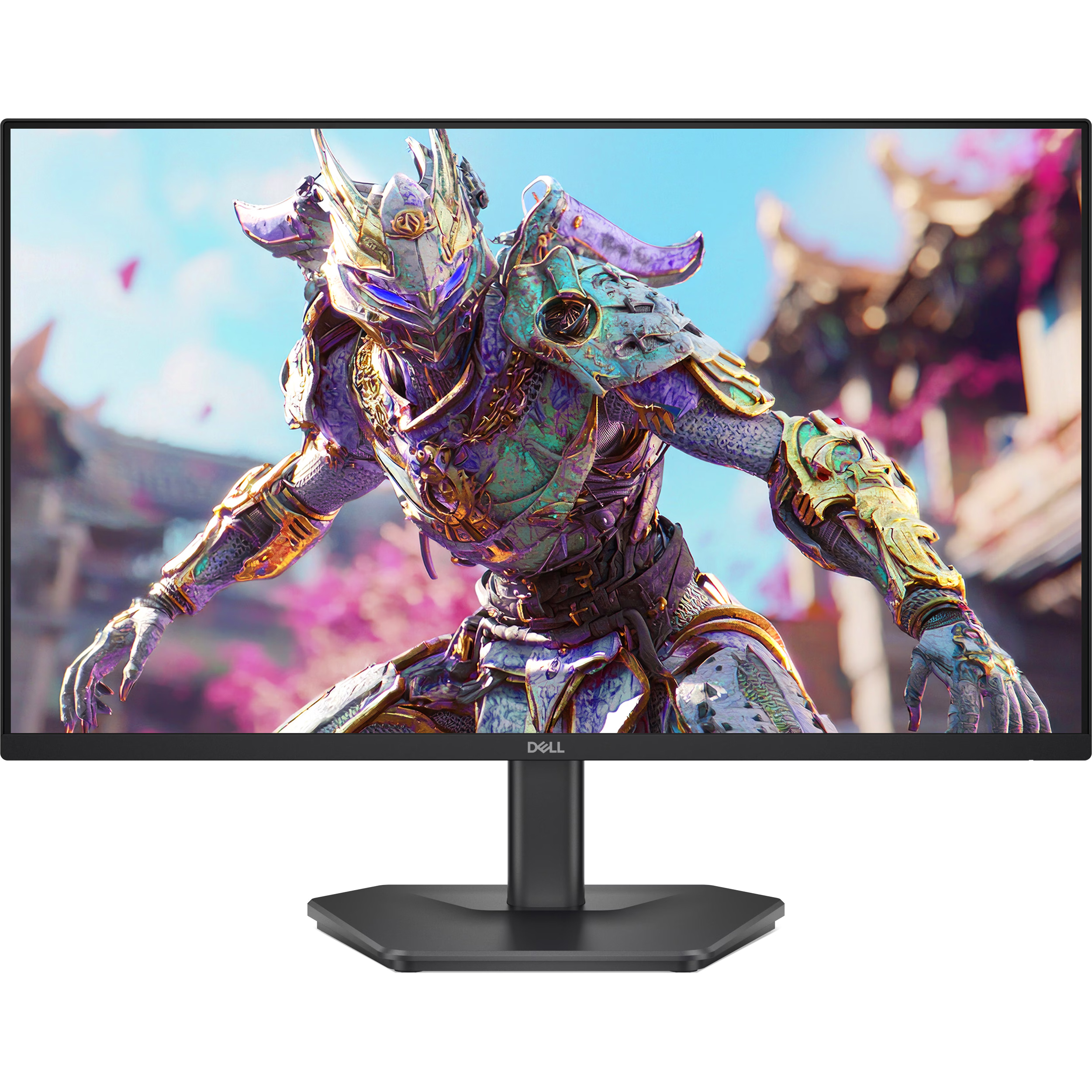 Монітор 23.8" DELL SE2426HG (210-BTTF)