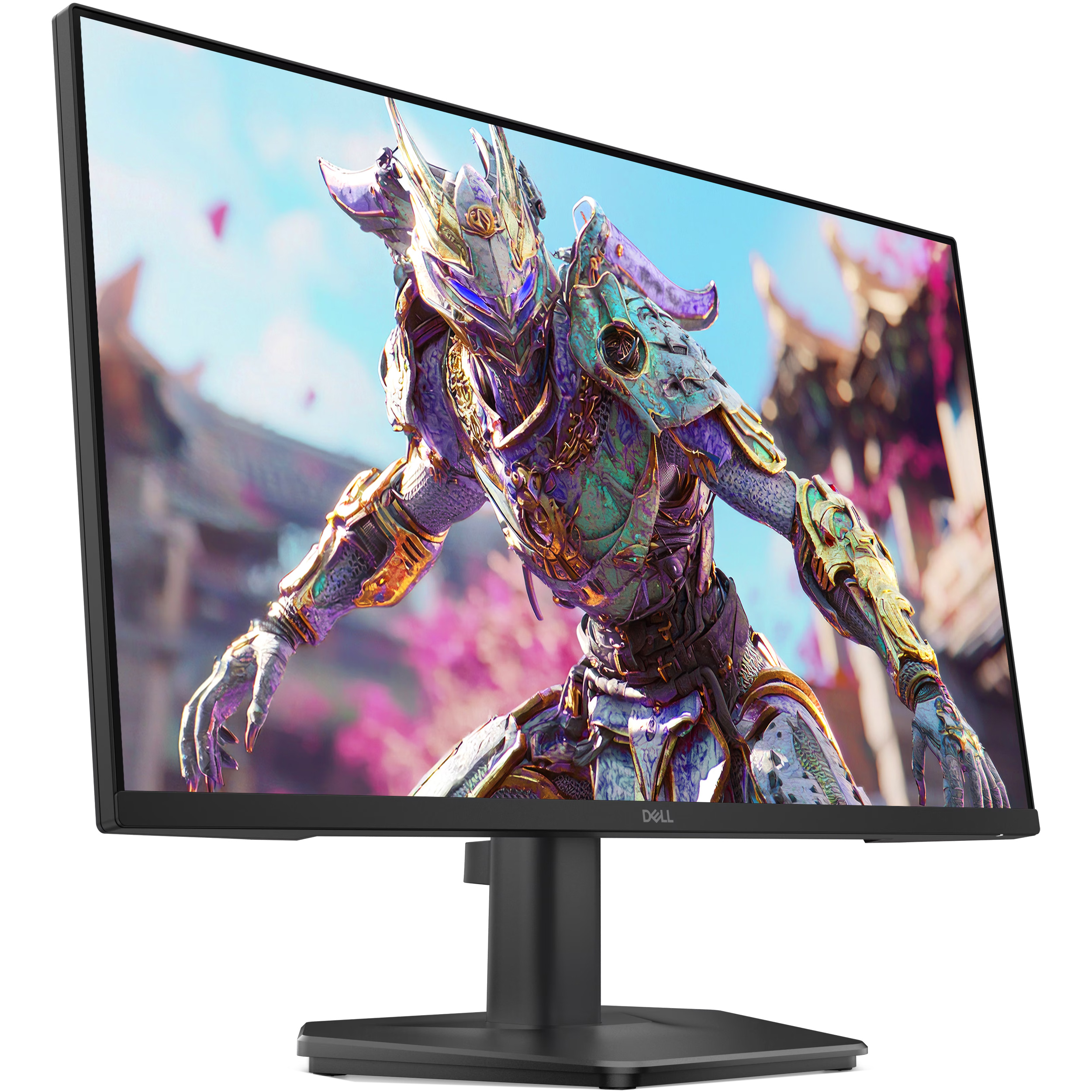 Монітор 23.8" DELL SE2426HG (210-BTTF)
