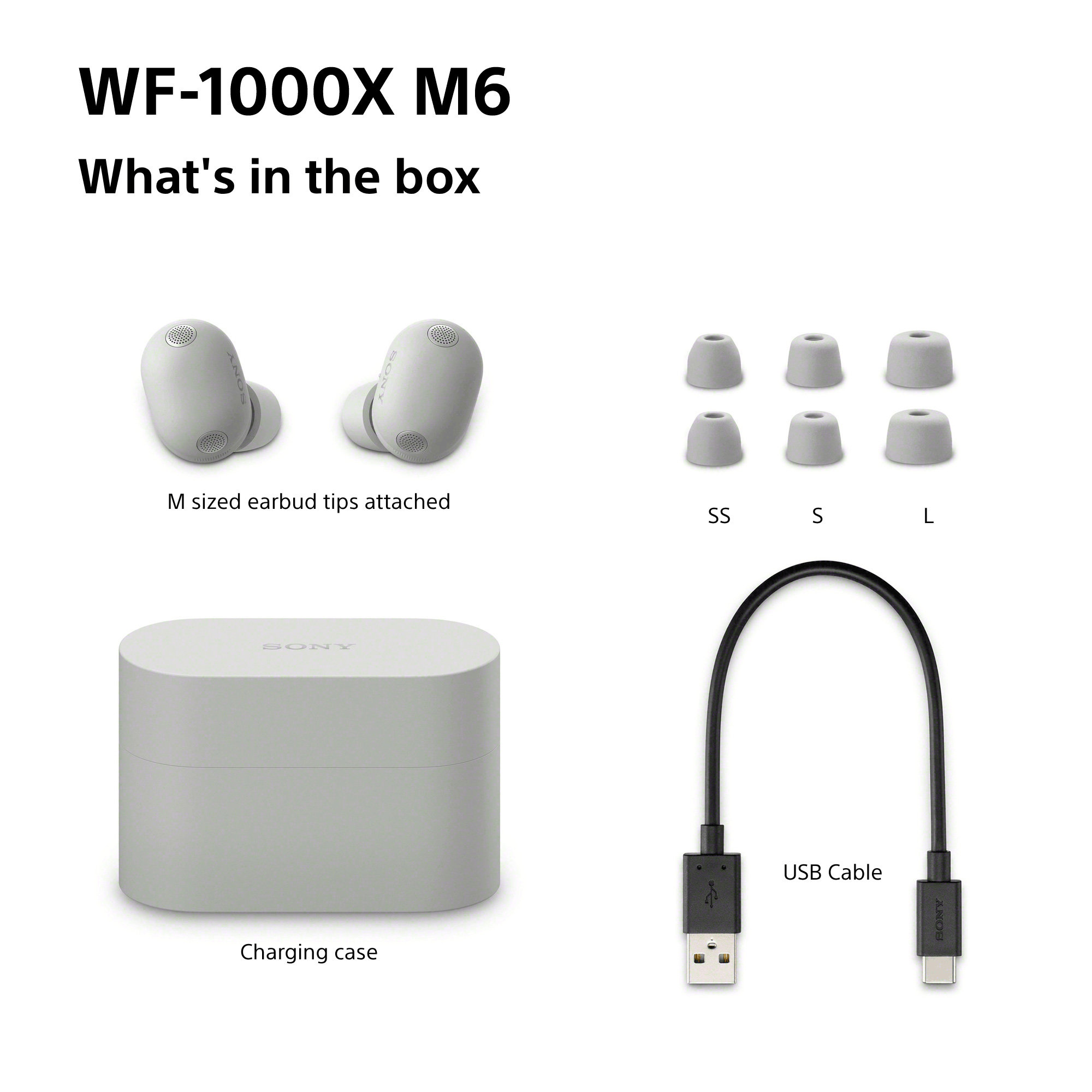 Навушники SONY WF-1000XM6 Platinum Silver (WF1000XM6S.CE7)