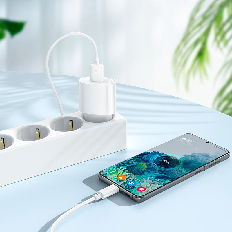 Зарядное устройство HOCO C109A Fighter 1xUSB-A, 2.1A White w/Micro-USB cable (6942007656603)