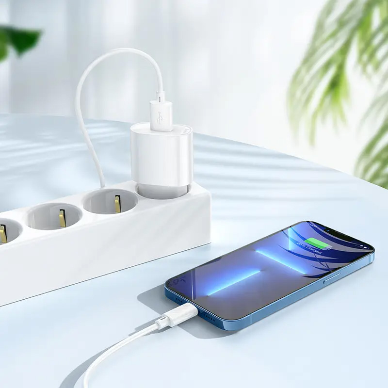 Зарядное устройство HOCO C109A Fighter 1xUSB-A, 2.1A White w/Lightning cable (6942007656597)