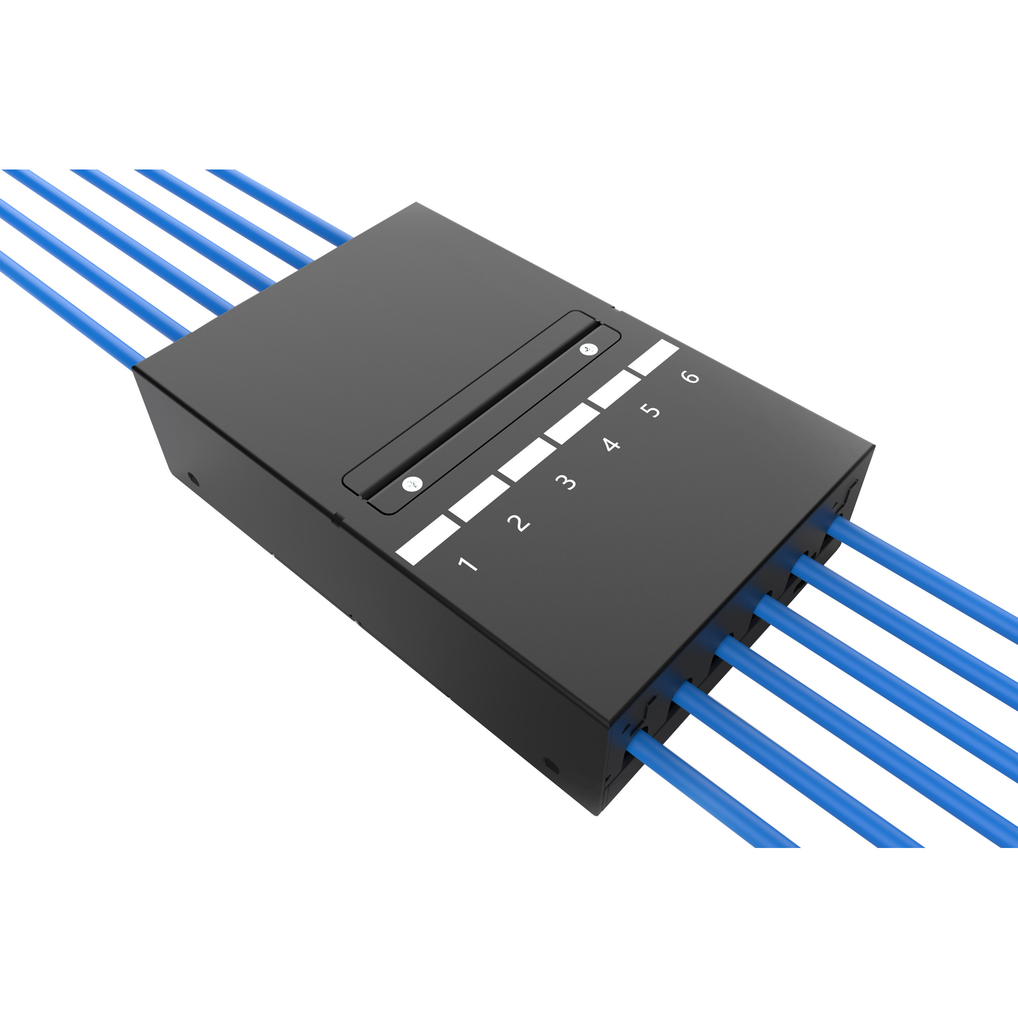 Патч-панель DIGITUS Consolidation Point Box 6-Port Keystone 6-port STP Cat.5e в сборе (DN-93708-6)