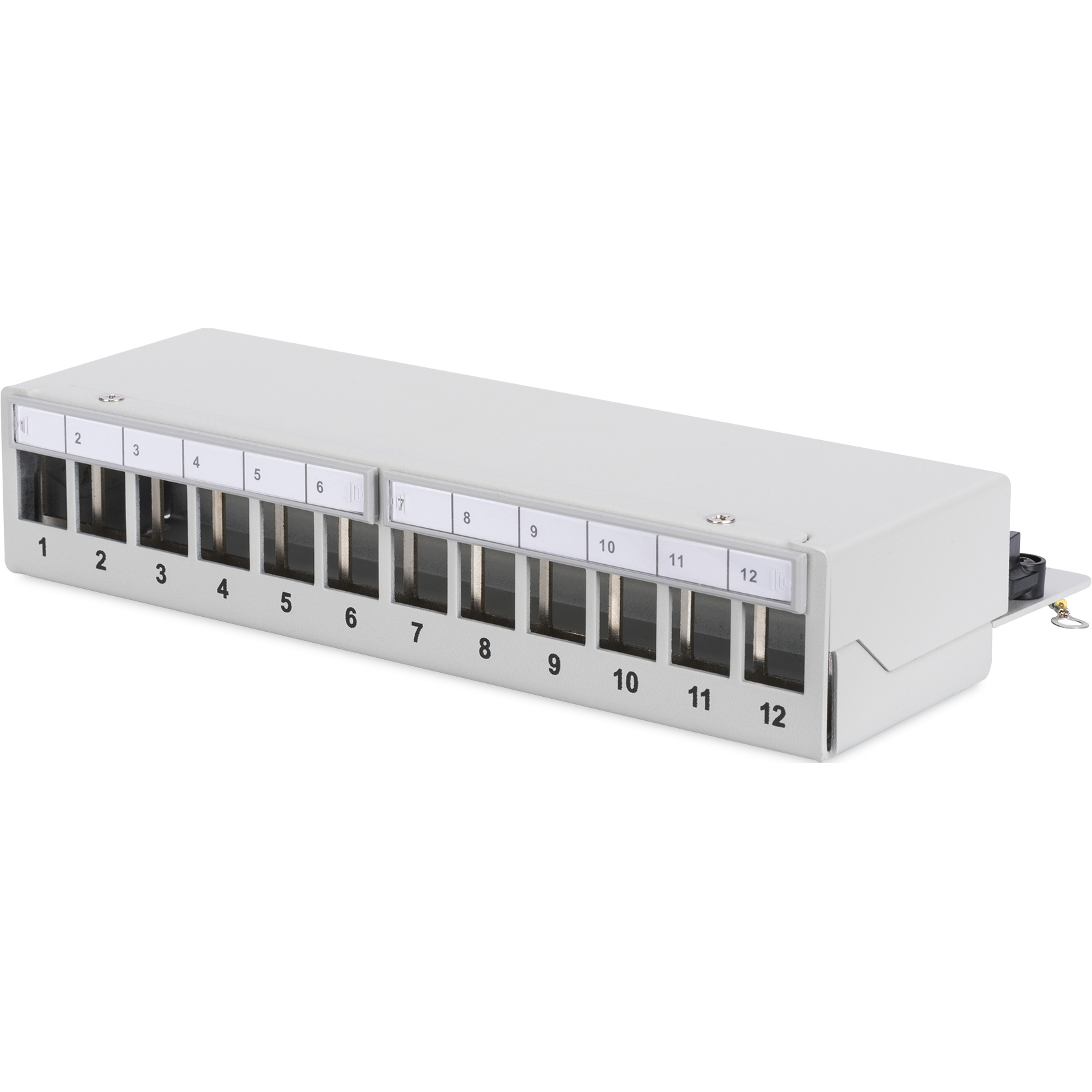Патч-панель DIGITUS Desktop Modular Patch Panel 1U 10" 12-port FTP Cat.5e в сборе (DN-93706)