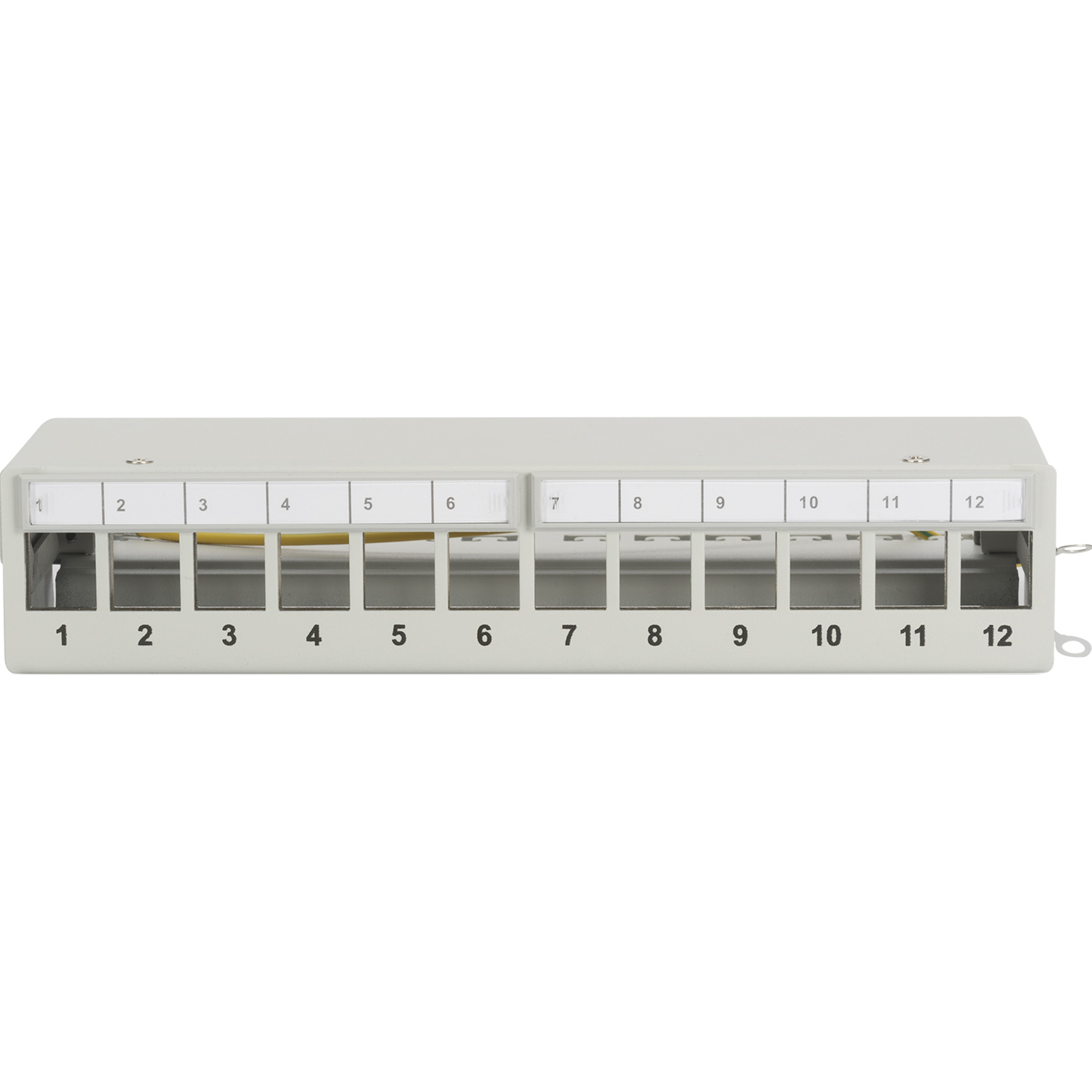 Патч-панель DIGITUS Desktop Modular Patch Panel 1U 10" 12-port FTP Cat.5e в сборе (DN-93706)