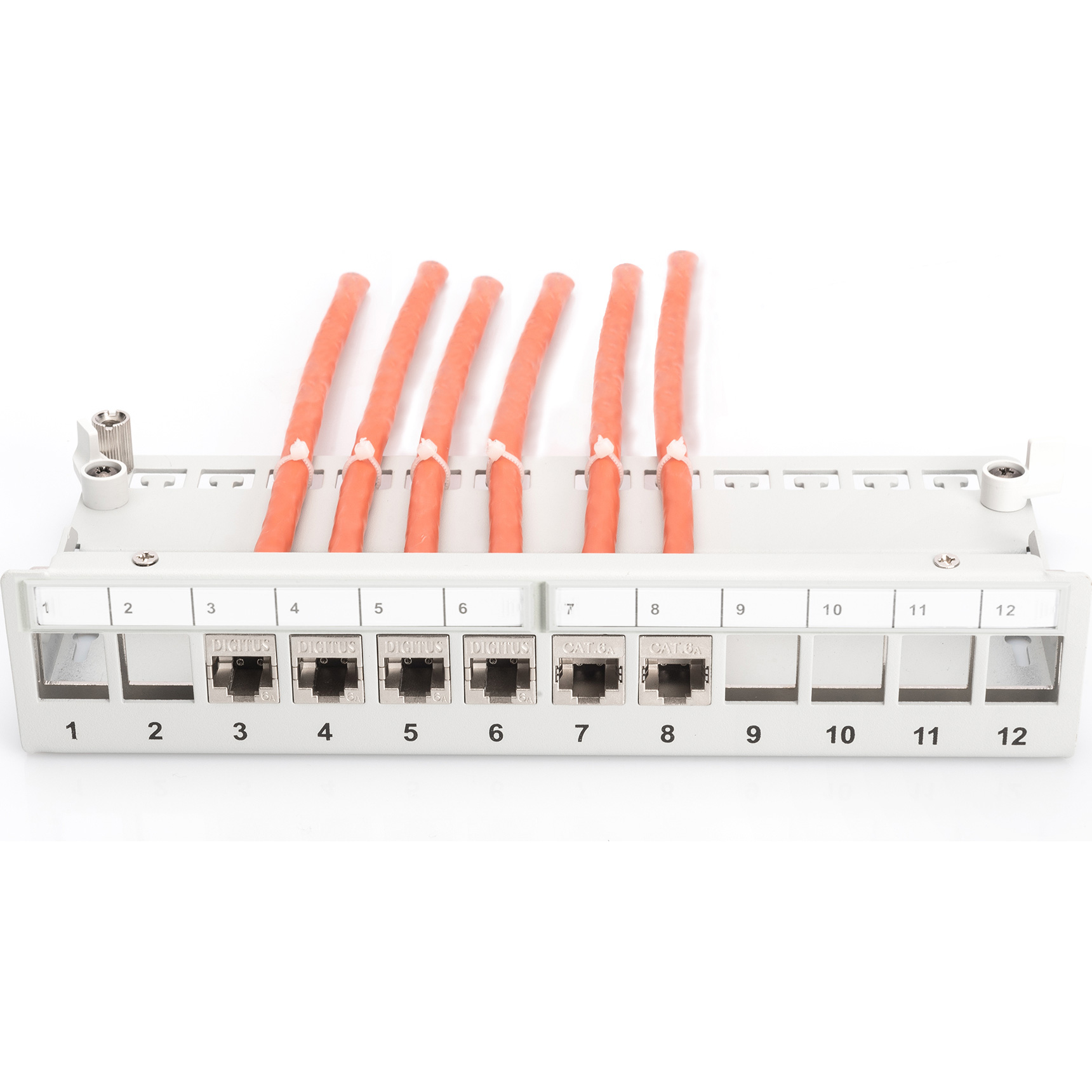 Патч-панель DIGITUS Desktop Modular Patch Panel 1U 10" 12-port FTP Cat.5e в сборе (DN-93706)
