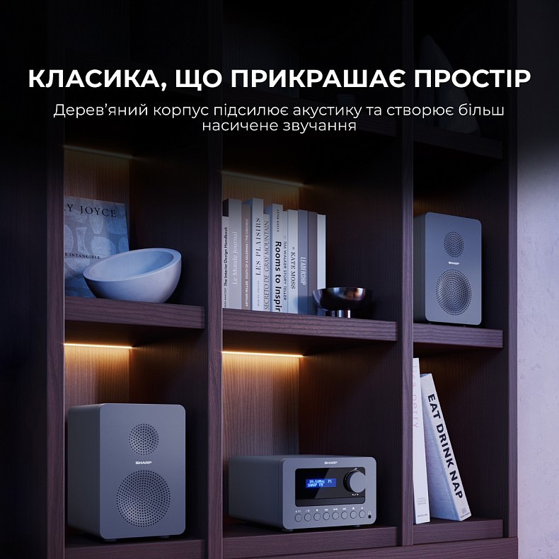 Музыкальный центр SHARP Tokyo FM Hi-Fi Micro System XL-B514 Gray