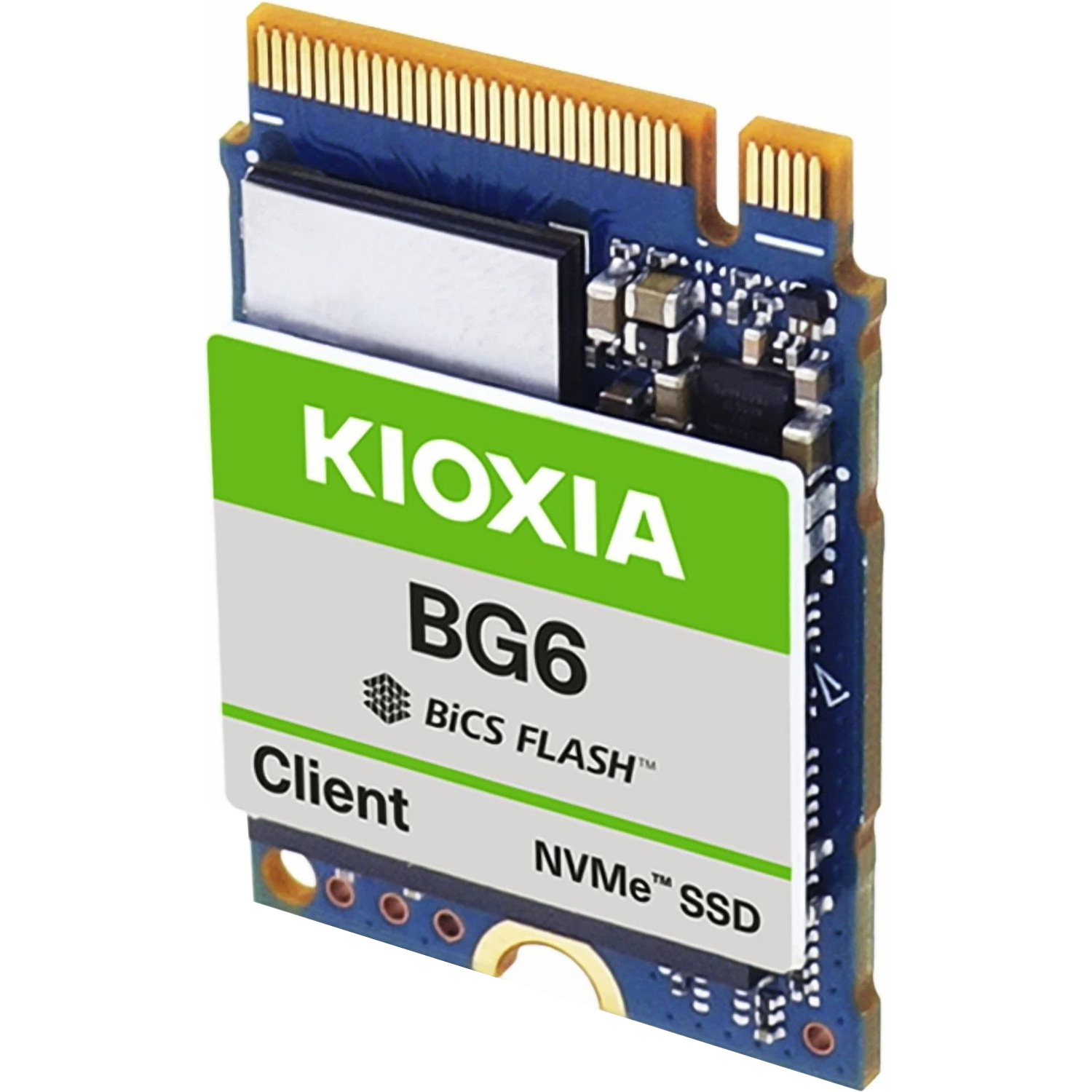 SSD диск KIOXIA (Toshiba) BG6 256GB M.2 NVMe Bulk (KBG60ZNS256G)