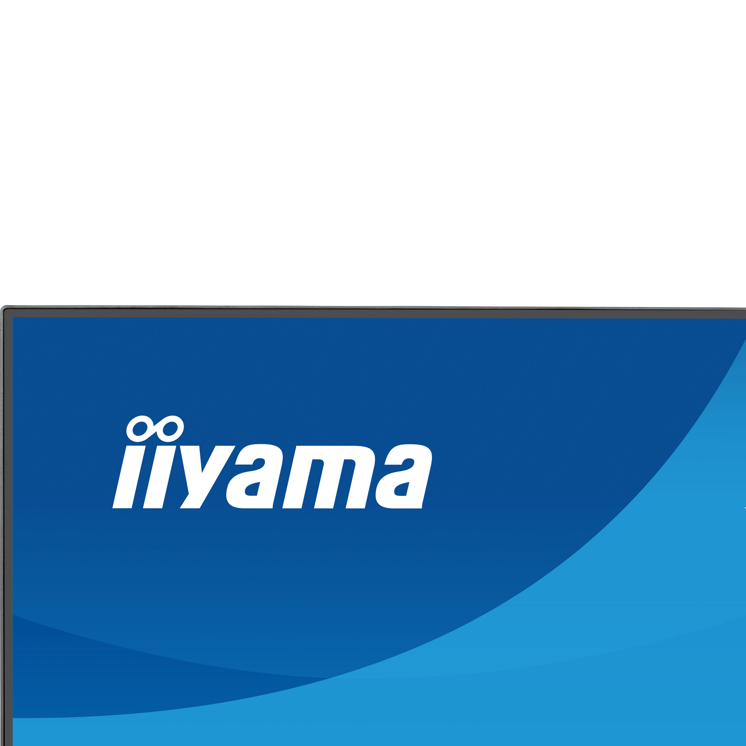 Монітор 23.8" IIYAMA ProLite X2493HSU-B1