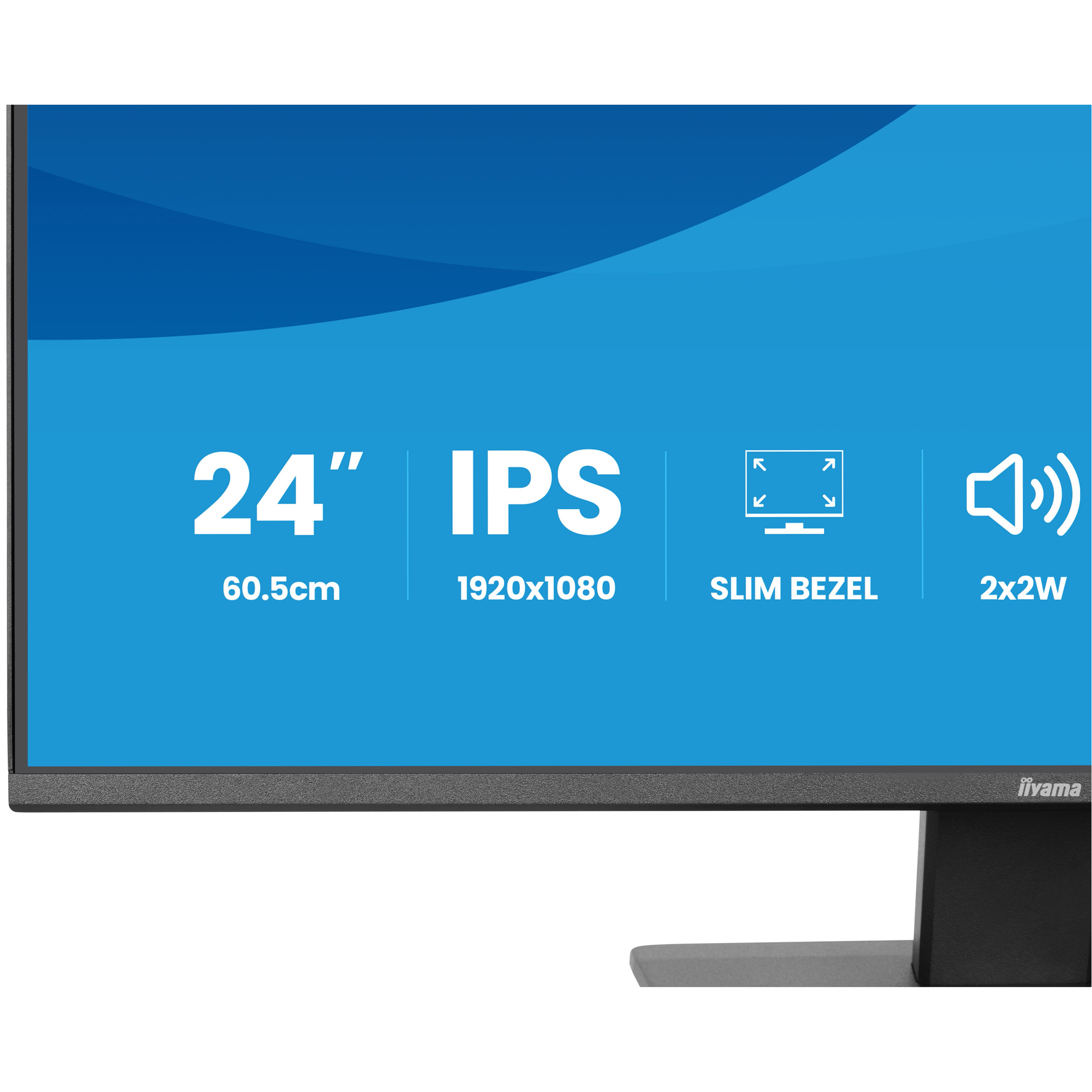 Монітор 23.8" IIYAMA ProLite X2493HSU-B1