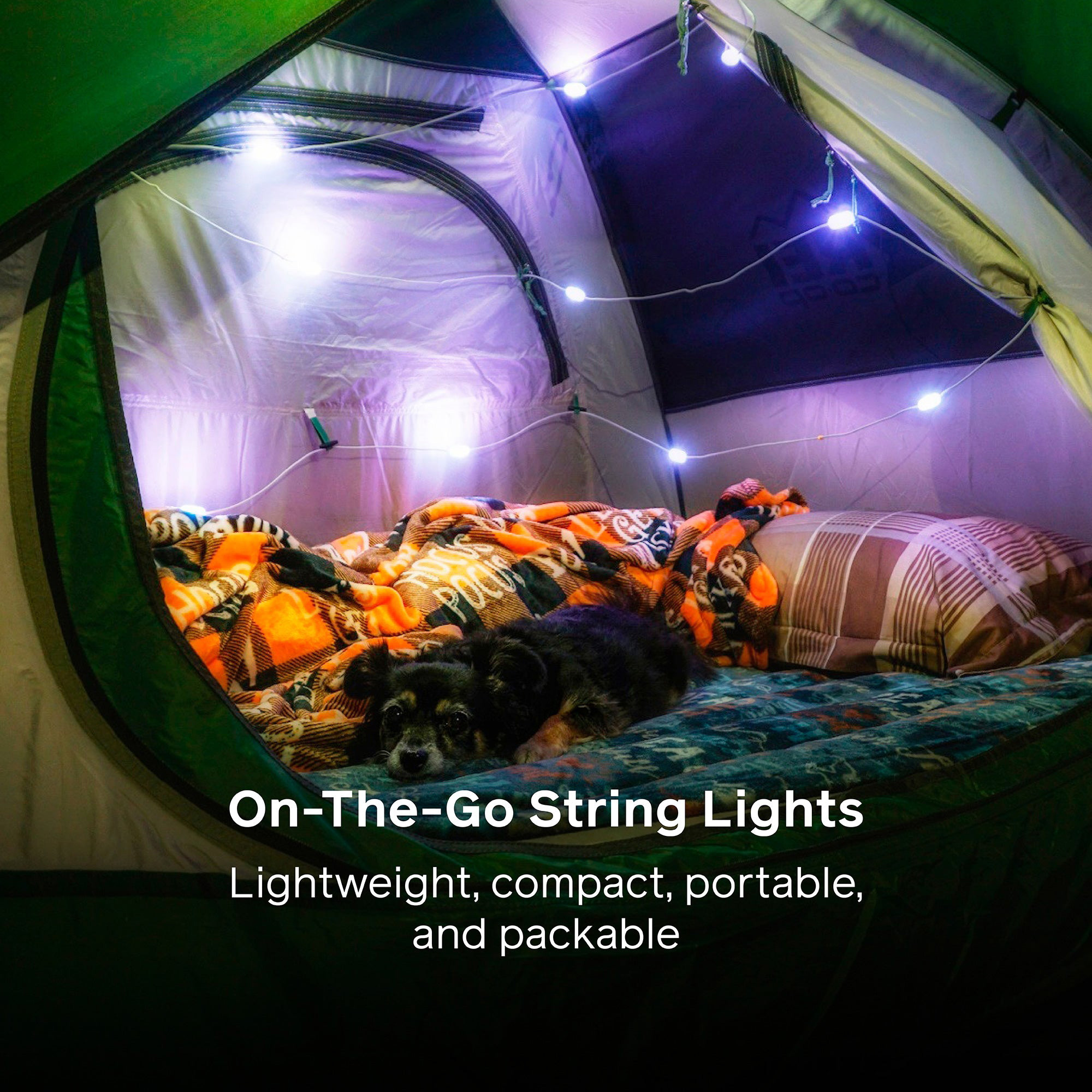 Фонарь-гирлянда BIOLITE Solar String Lights 18' Color (SSA0102)