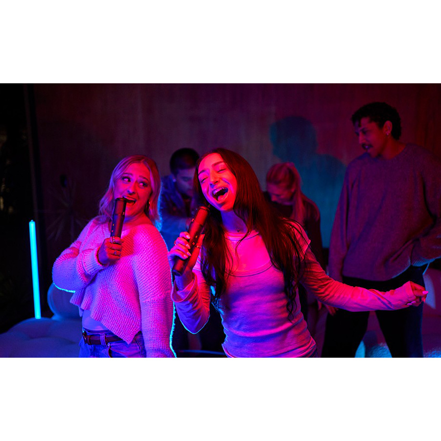 Караоке-комплект JBL Easysing Mics