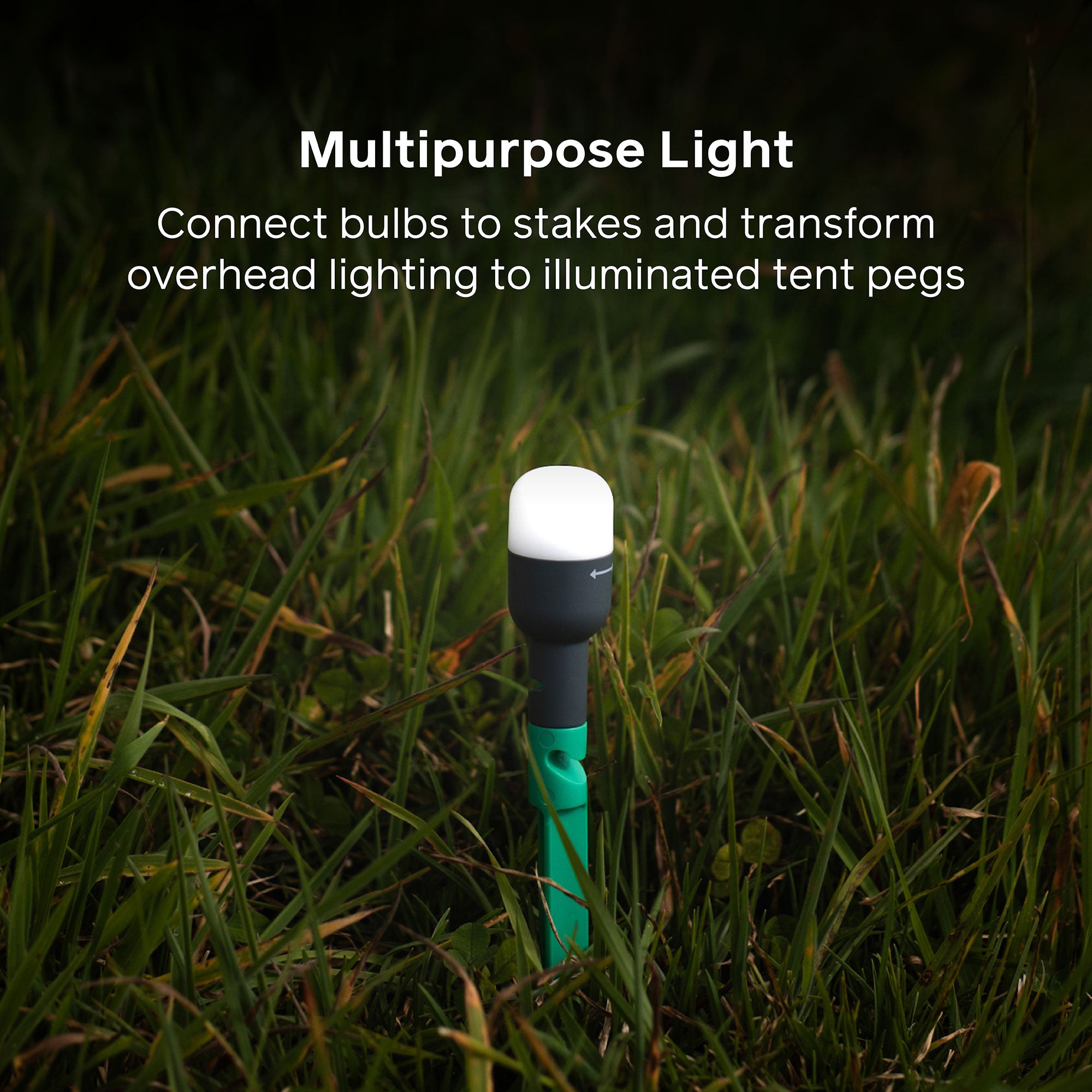 Фонарь кемпинговый BIOLITE Site Lights (SLD0100)