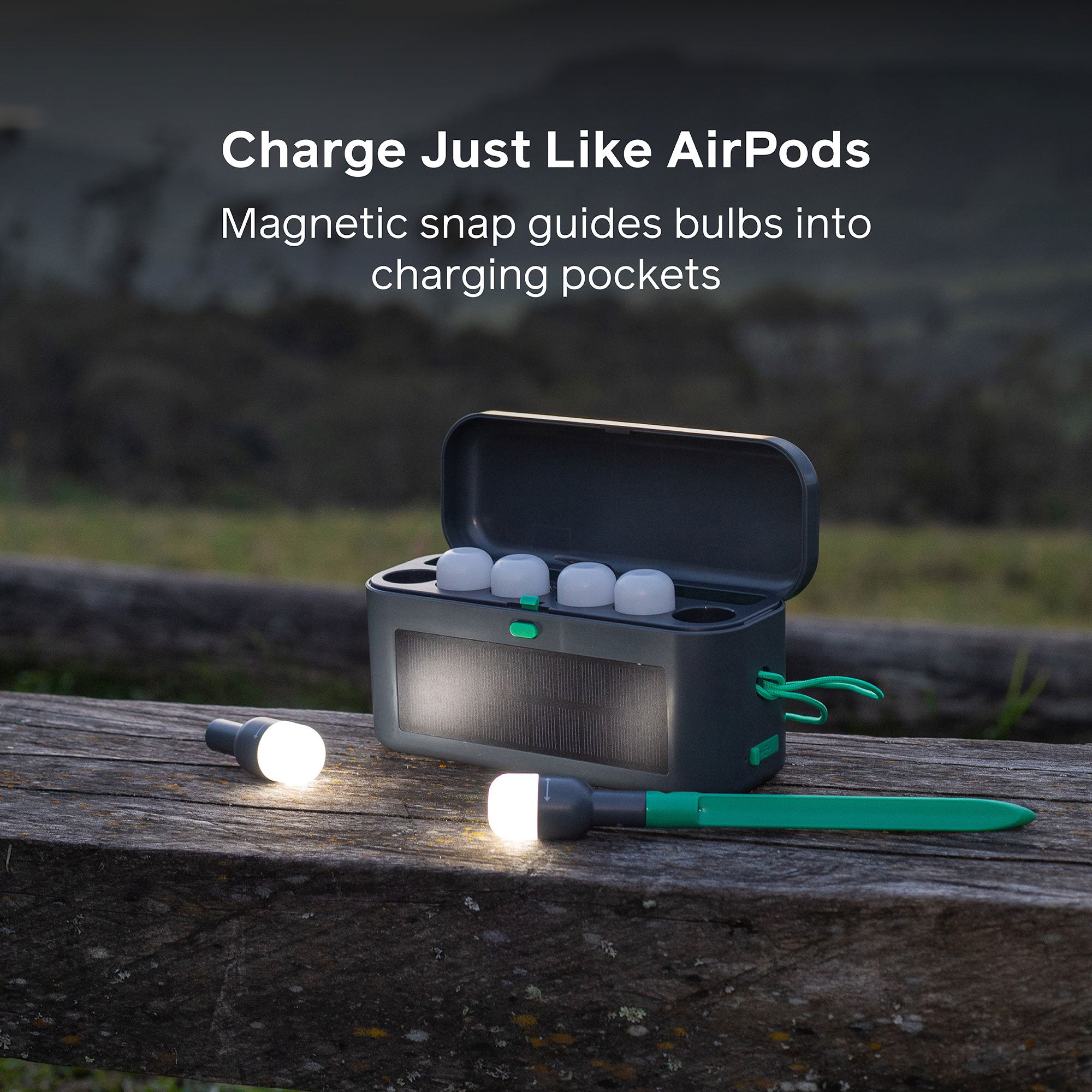 Фонарь кемпинговый BIOLITE Site Lights (SLD0100)