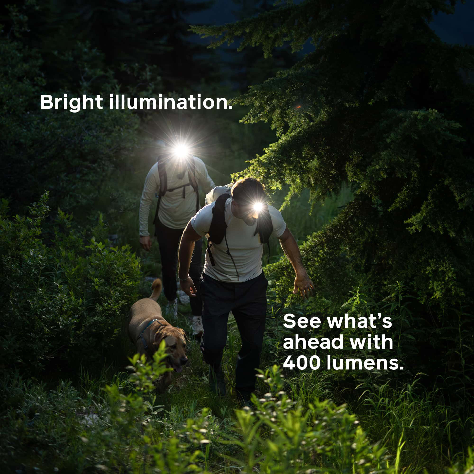Фонарь налобный BIOLITE Range 400 Mist Green (HPE0103)