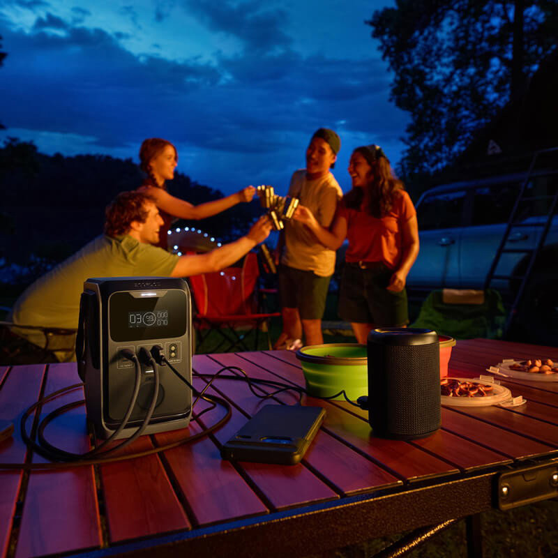 Зарядная станция ECOFLOW Trail 300 DC