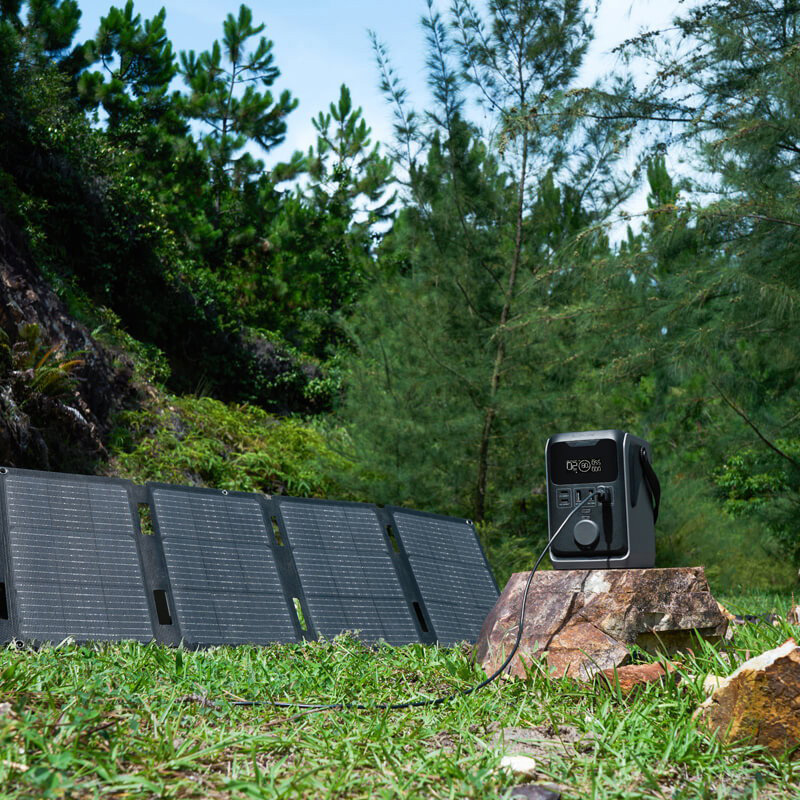 Зарядная станция ECOFLOW Trail 300 DC
