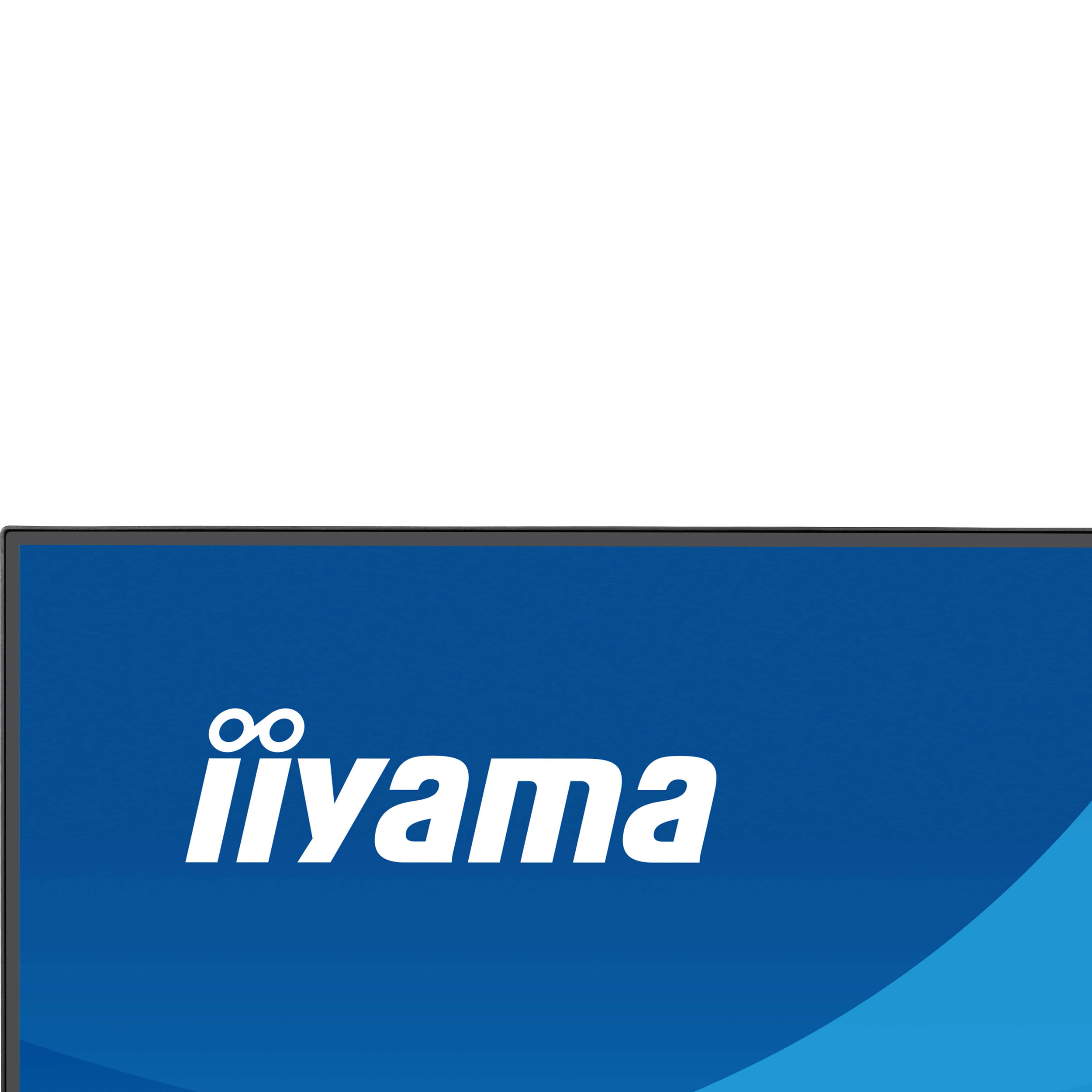 Монитор 23.8" IIYAMA ProLite X2491HS-B1 Matte Black