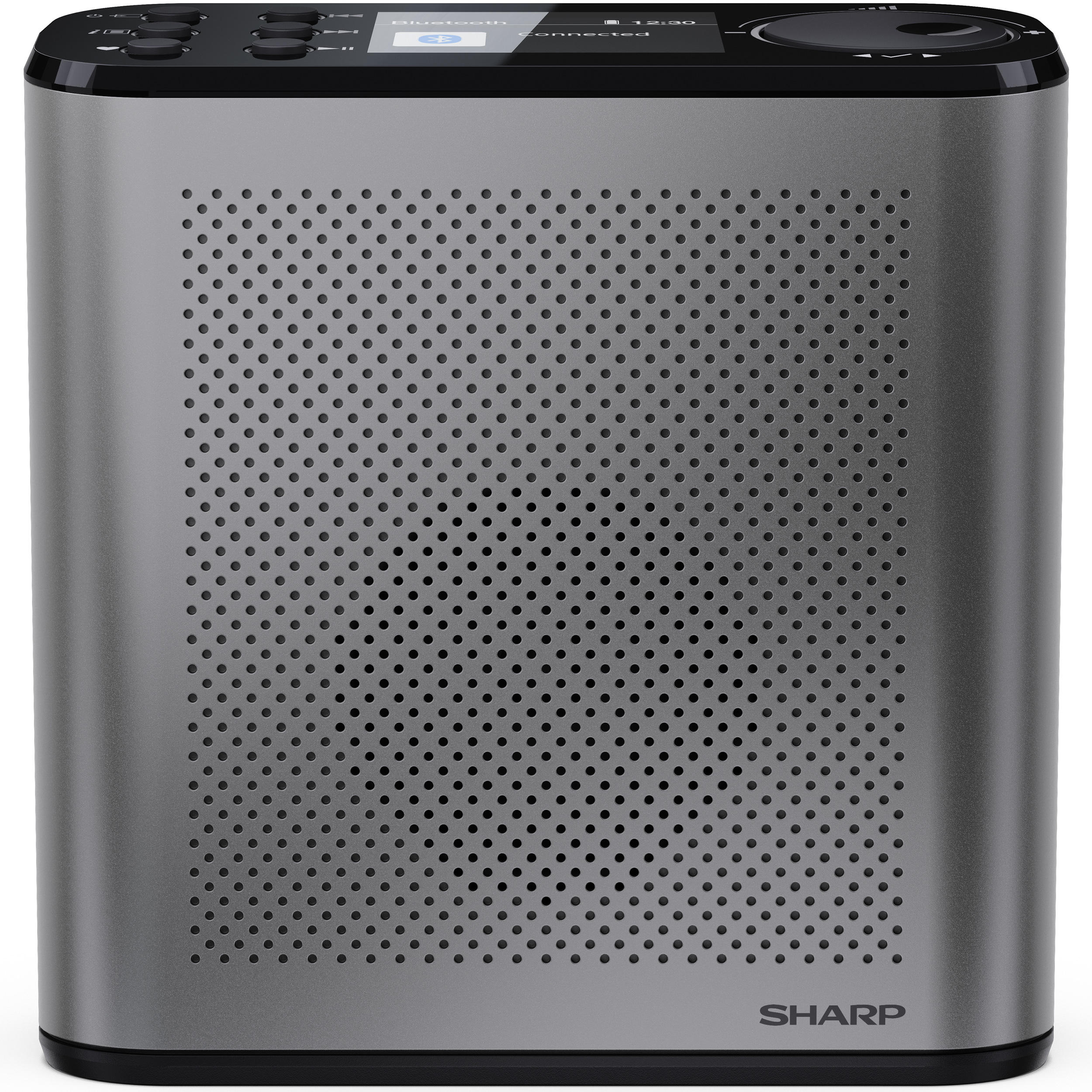 Портативный радиоприёмник SHARP DR-P530 Osaka Portable Digital Radio Storm Gray