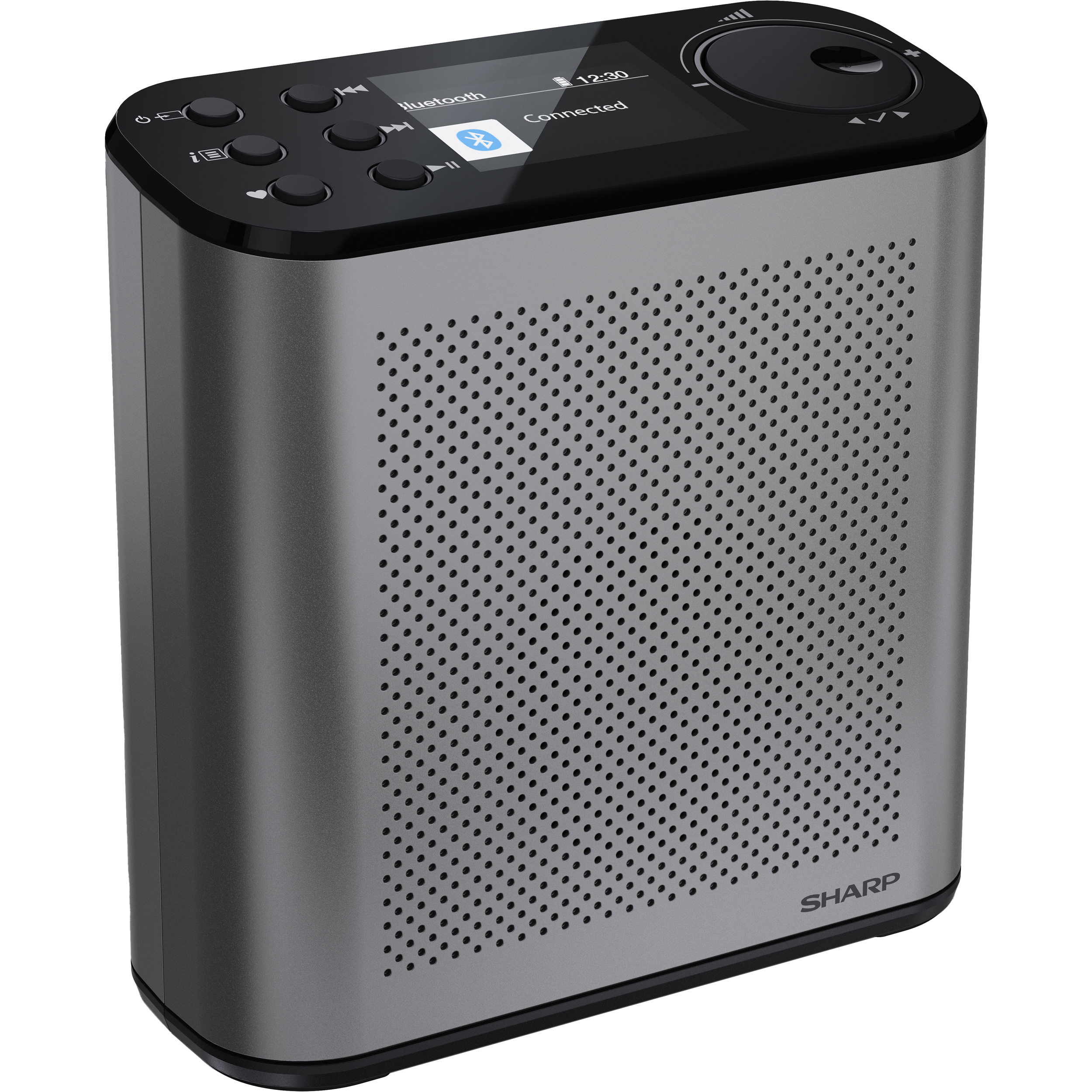 Портативный радиоприёмник SHARP DR-P530 Osaka Portable Digital Radio Storm Gray