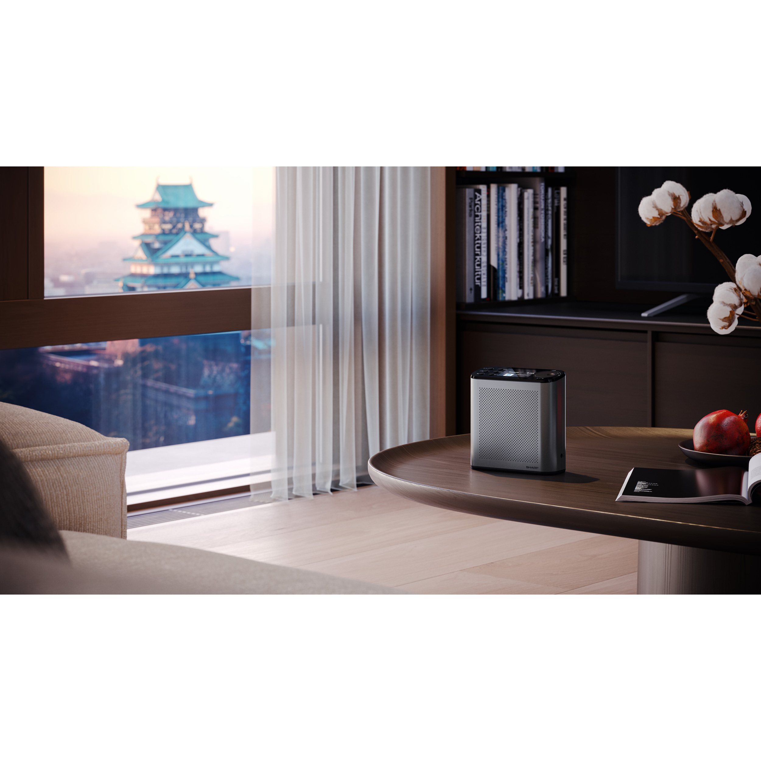 Портативный радиоприёмник SHARP DR-P530 Osaka Portable Digital Radio Storm Gray