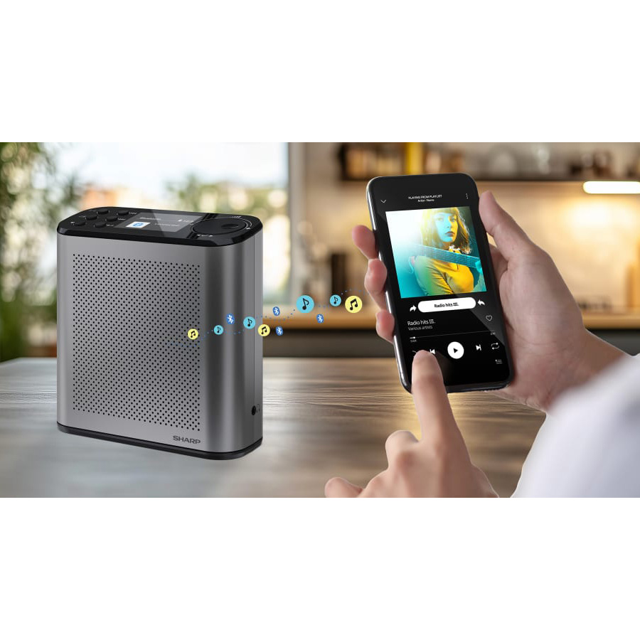 Портативный радиоприёмник SHARP DR-P530 Osaka Portable Digital Radio Storm Gray