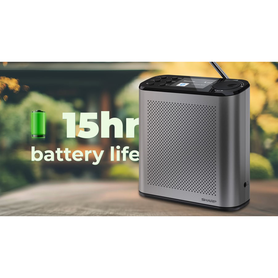 Портативный радиоприёмник SHARP DR-P530 Osaka Portable Digital Radio Storm Gray