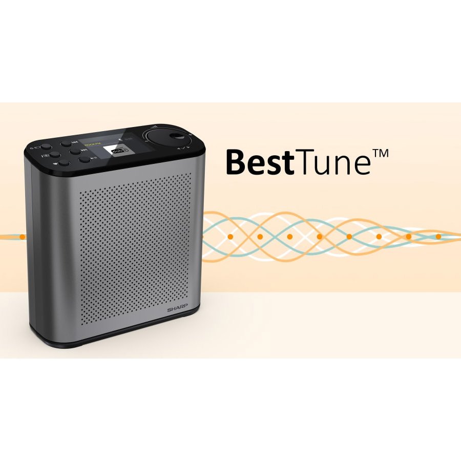 Портативный радиоприёмник SHARP DR-P530 Osaka Portable Digital Radio Storm Gray
