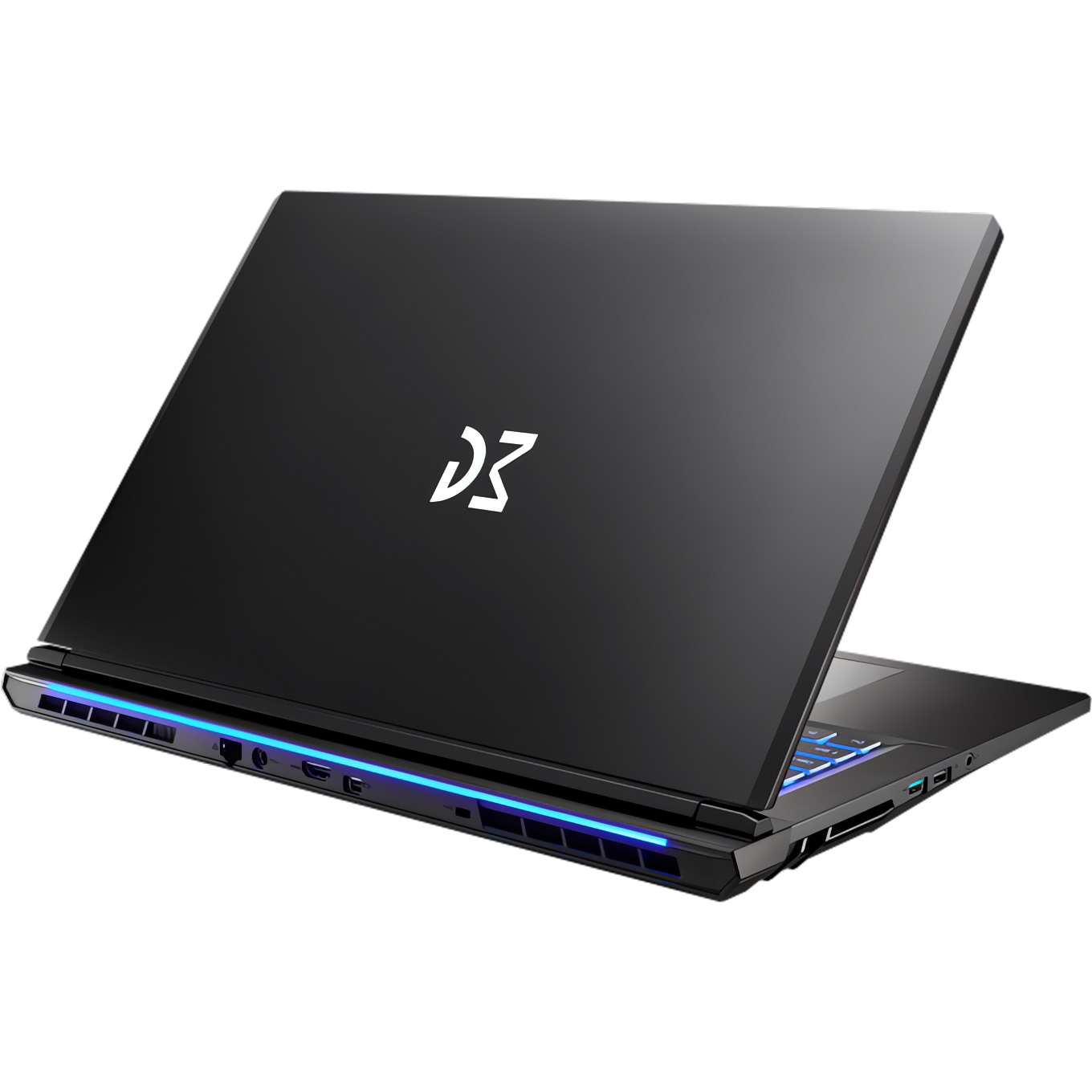 Ноутбук DREAM MACHINES RT5060-17 Black (RT5060-17UA20)
