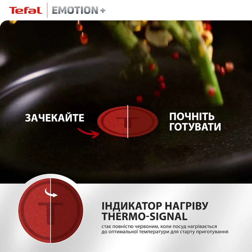 Сковорода для блинов TEFAL Emotion+ 25см (E3383855)